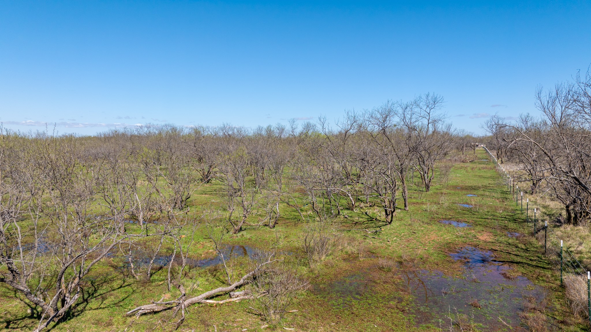 3445 County Road 337, Early, TX, 76802