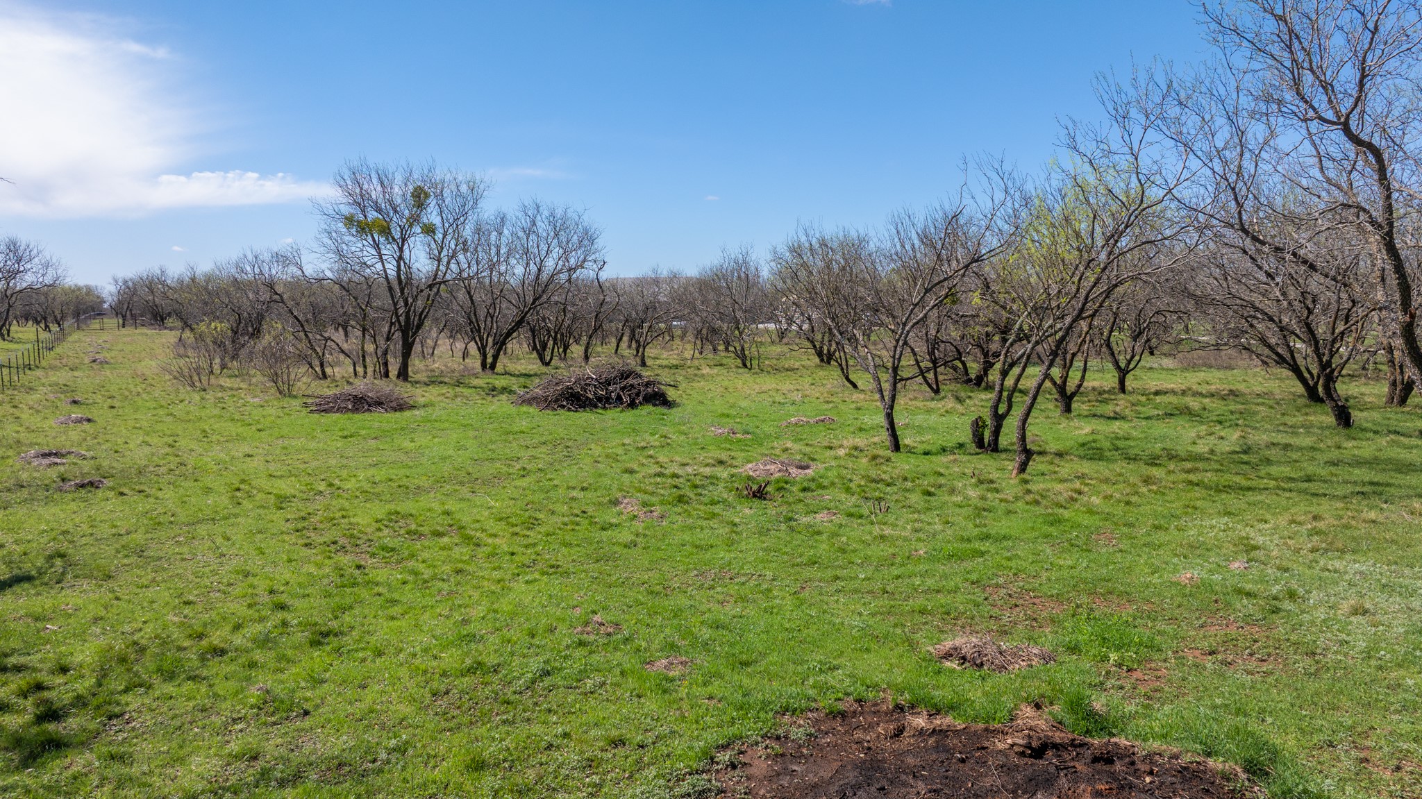 3445 County Road 337, Early, TX, 76802