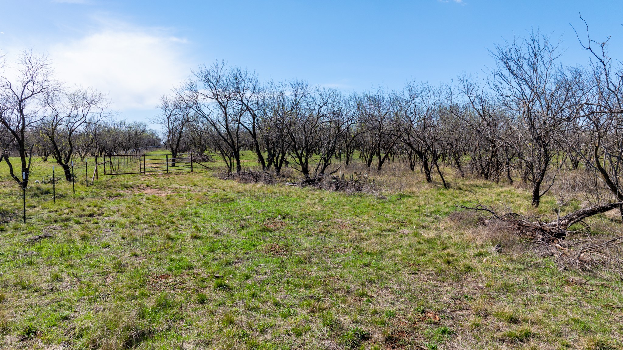 3445 County Road 337, Early, TX, 76802