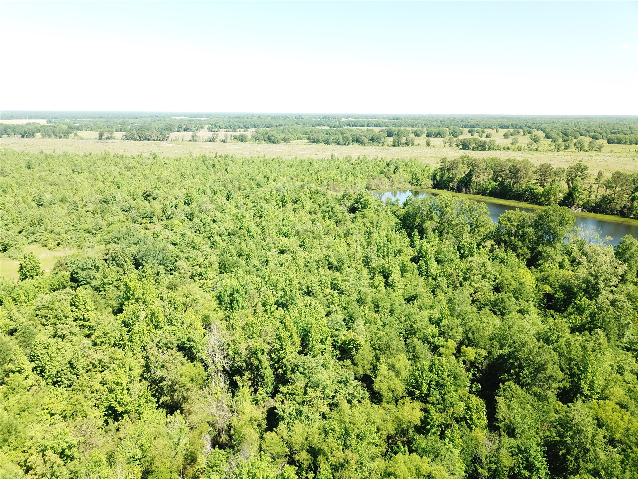 00 County Road 4308, Simms, TX, 75574
