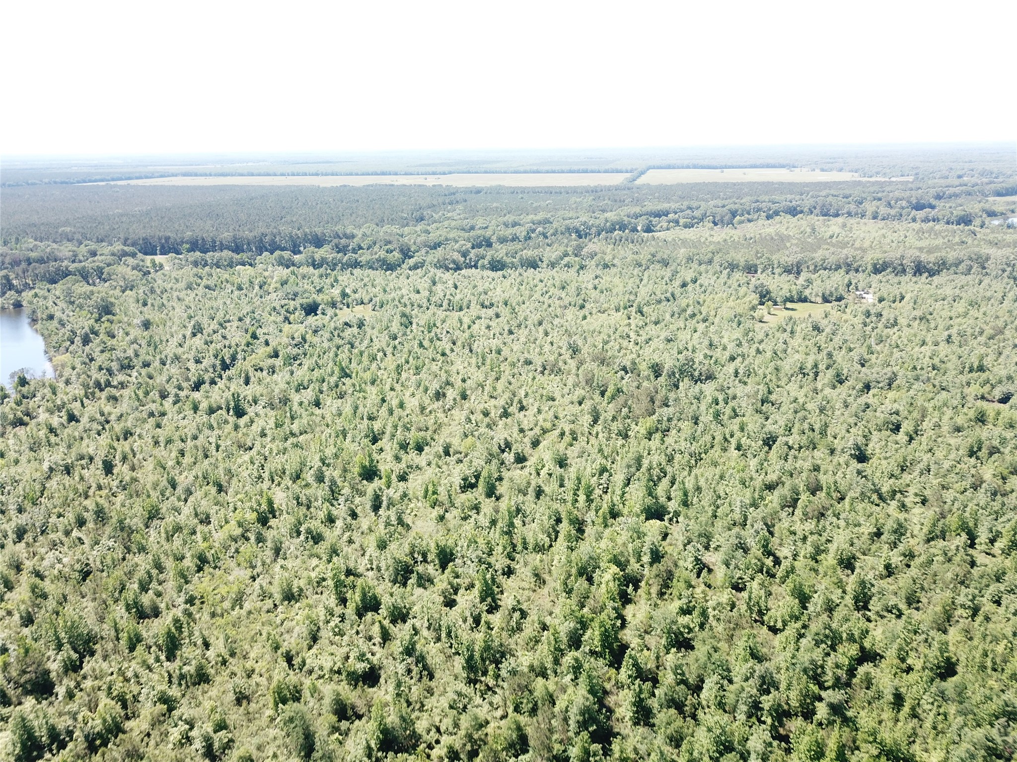 00 County Road 4308, Simms, TX, 75574
