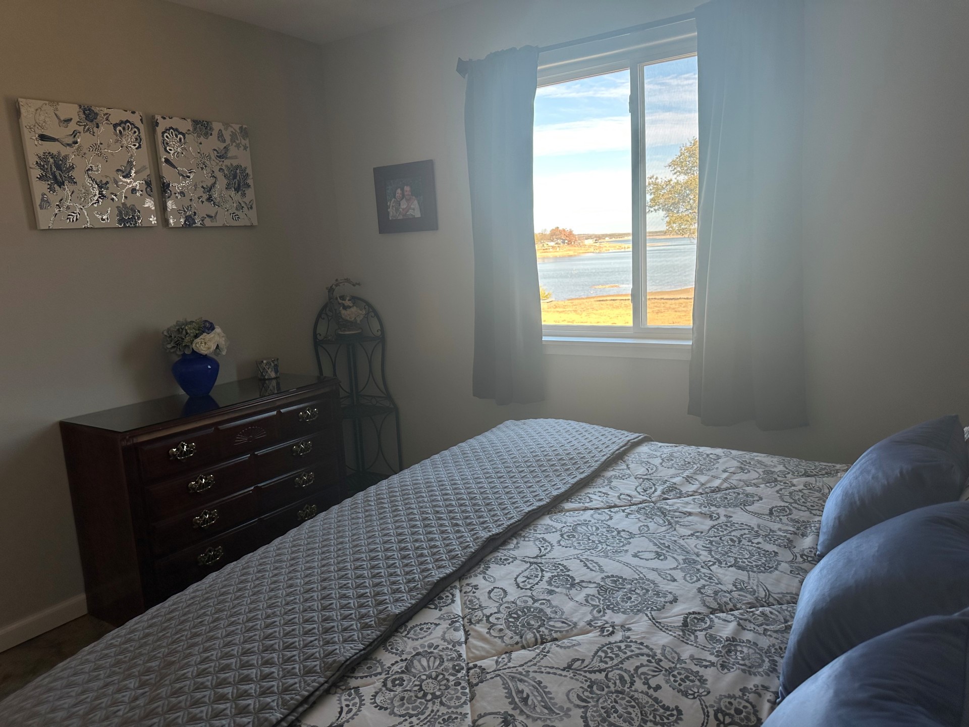 313 Hidden Shores Drive, Cisco, TX, 76437