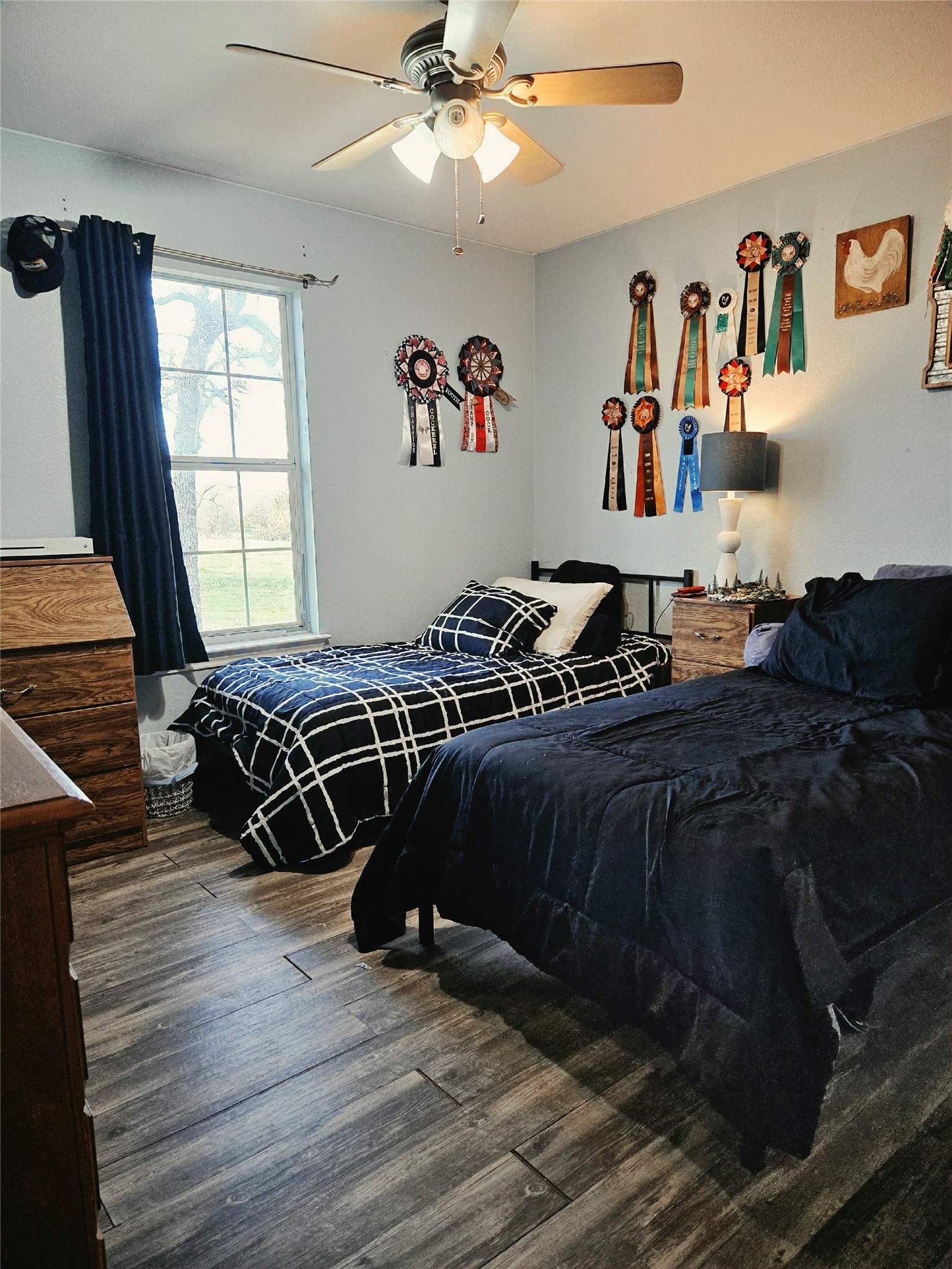 470 Private Road 3650, Paradise, TX, 76073