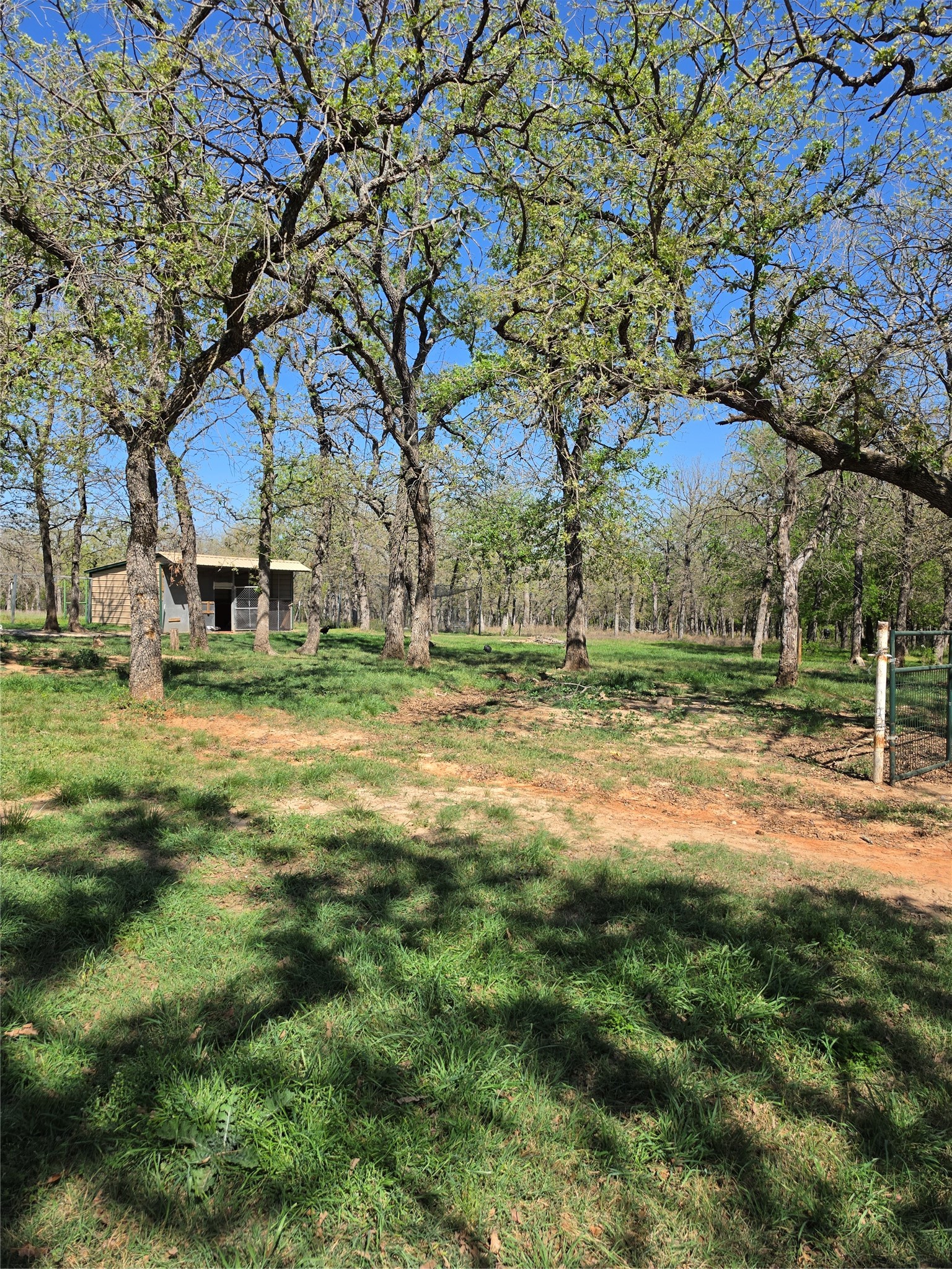 470 Private Road 3650, Paradise, TX, 76073