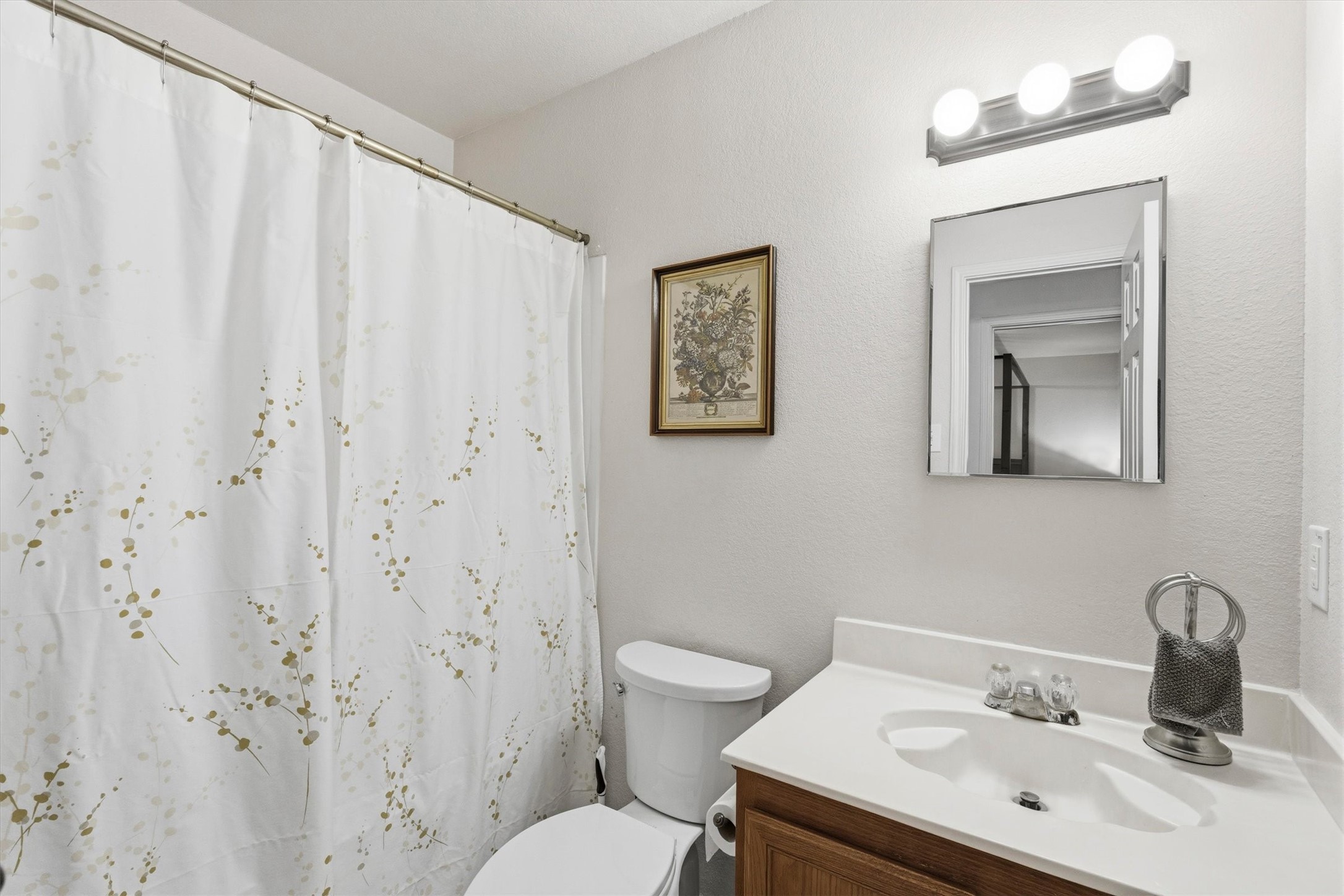 2405 Spruce Court, Little Elm, TX, 75068