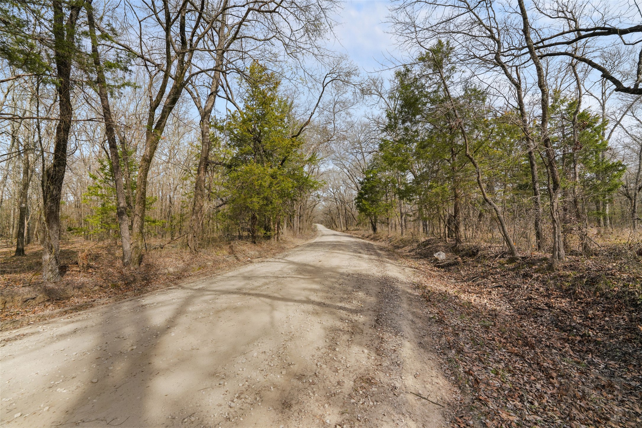 Property photo 02 of TBD Cr-2400, Terrell, TX 75160 | MLS #21206666