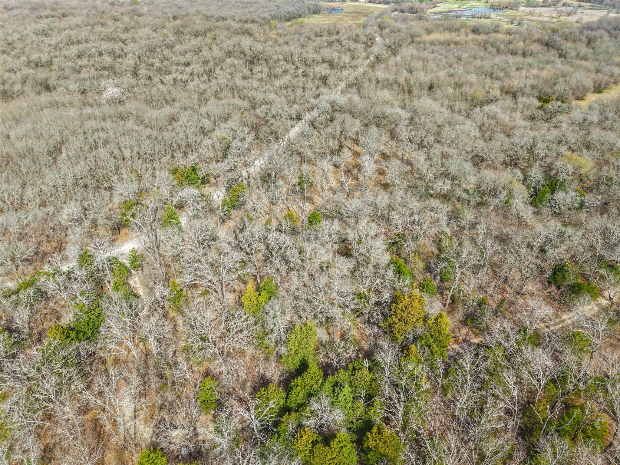 TBD Cr-2400, Terrell, TX, 75160