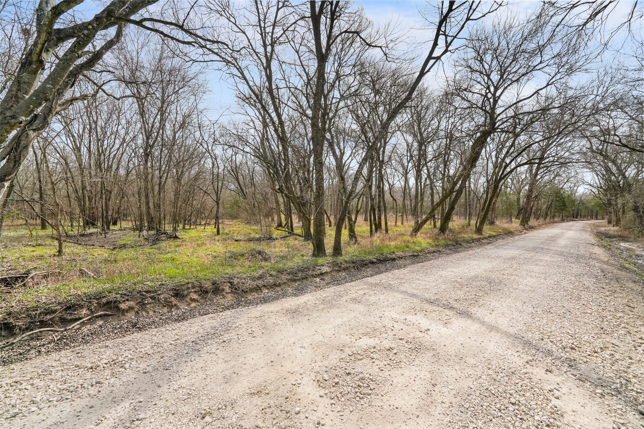 TBD Cr-2400, Terrell, TX, 75160