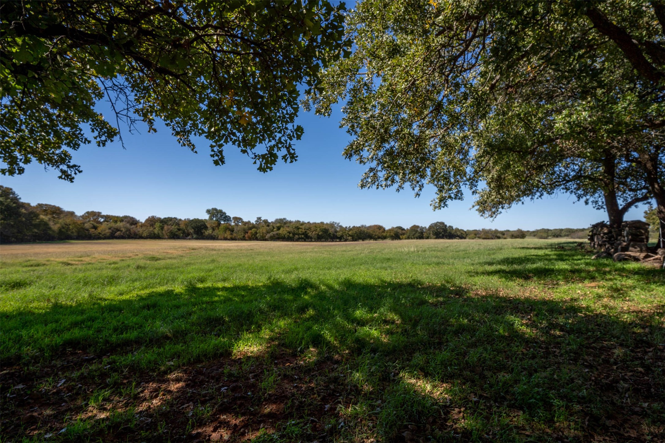 1293 Hcr 1425, Covington, TX, 76636