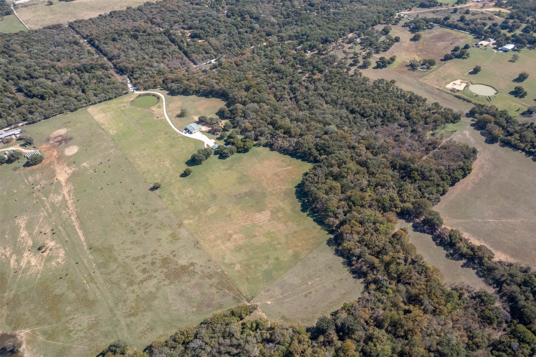 1293 Hcr 1425, Covington, TX, 76636
