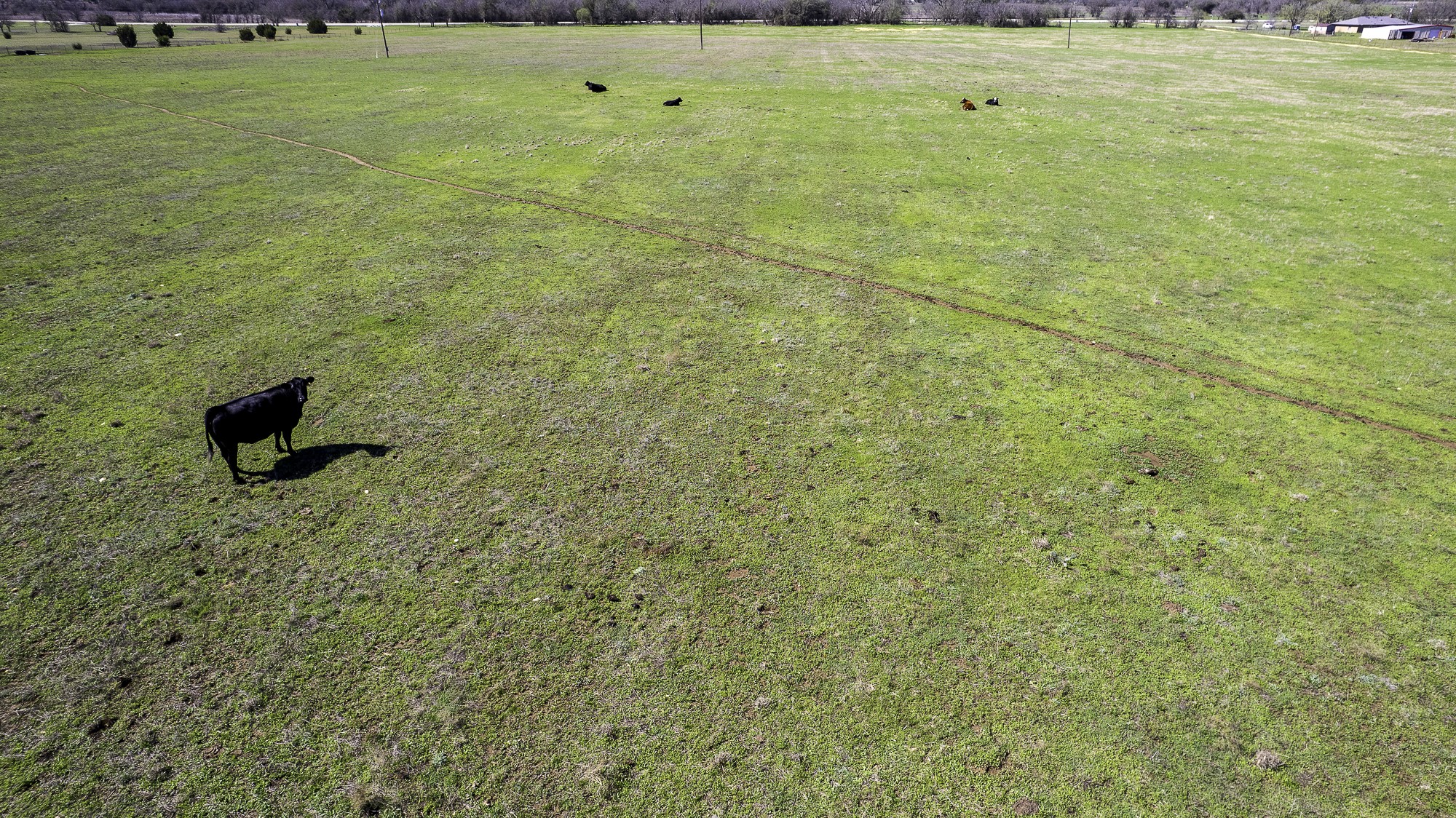 26025 S Fm 219, Dublin, TX, 76436