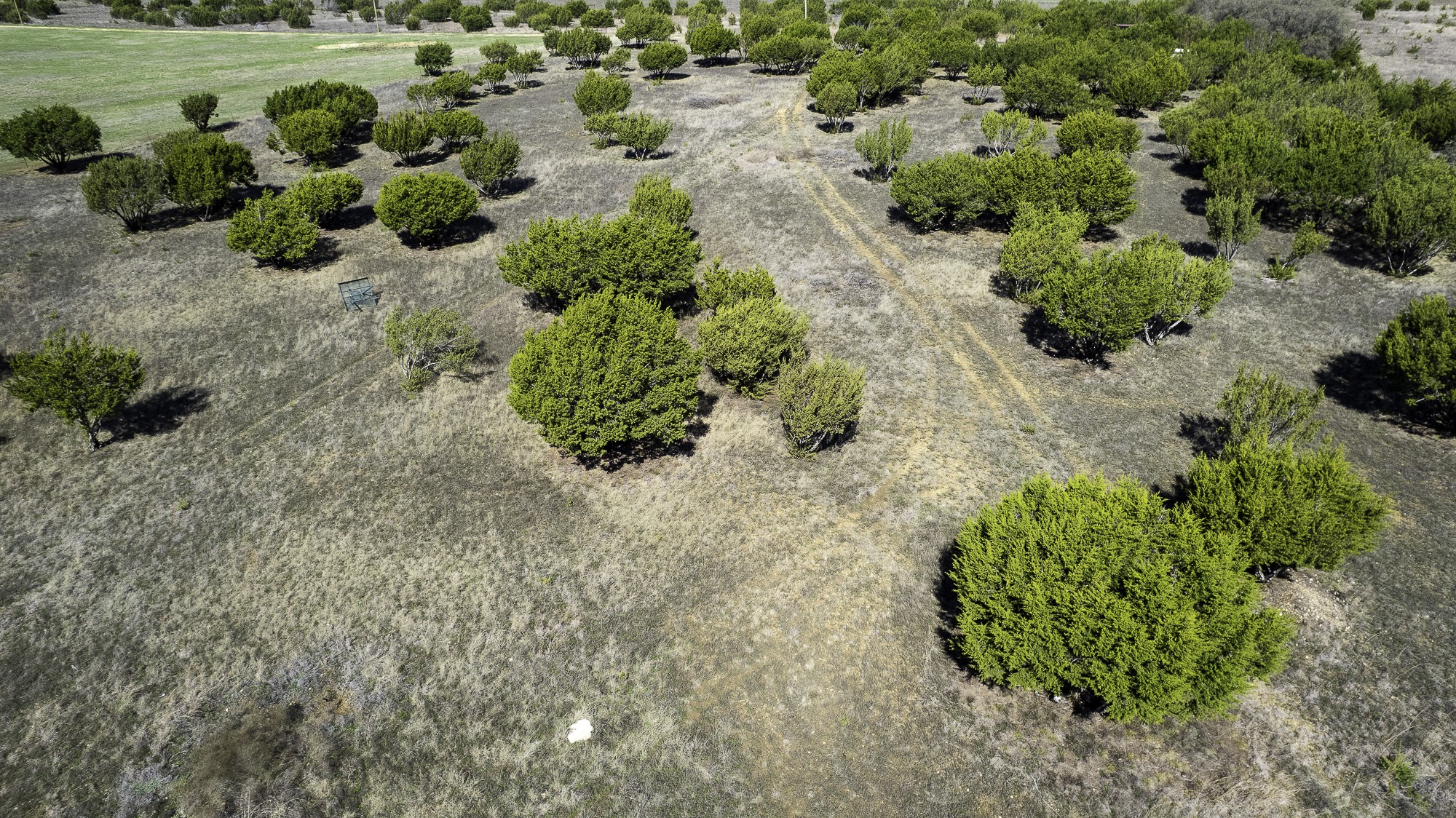 26025 S Fm 219, Dublin, TX, 76436