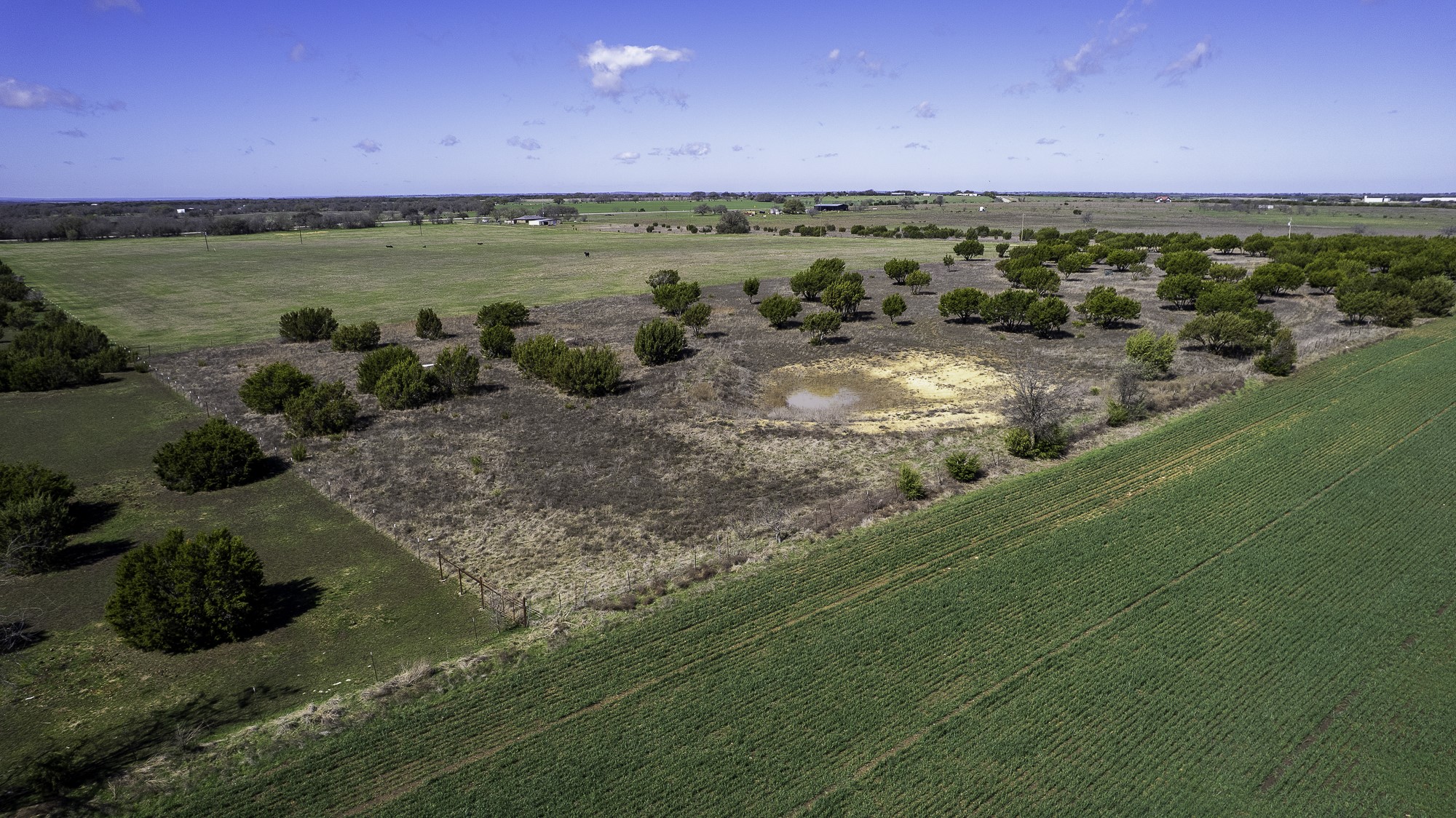 26025 S Fm 219, Dublin, TX, 76436