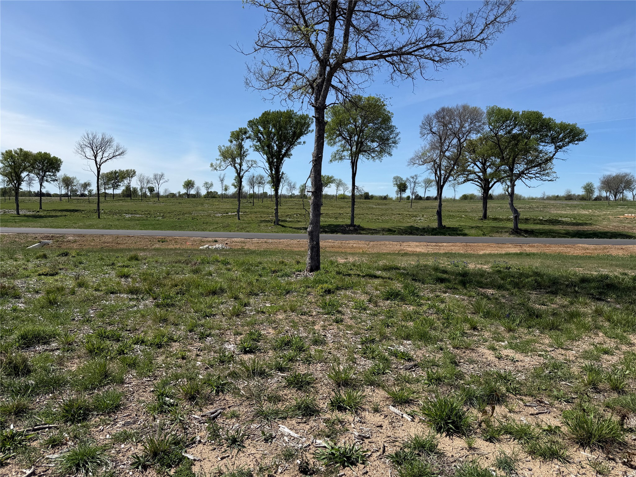 174 Serene Way, Richland, TX, 76681