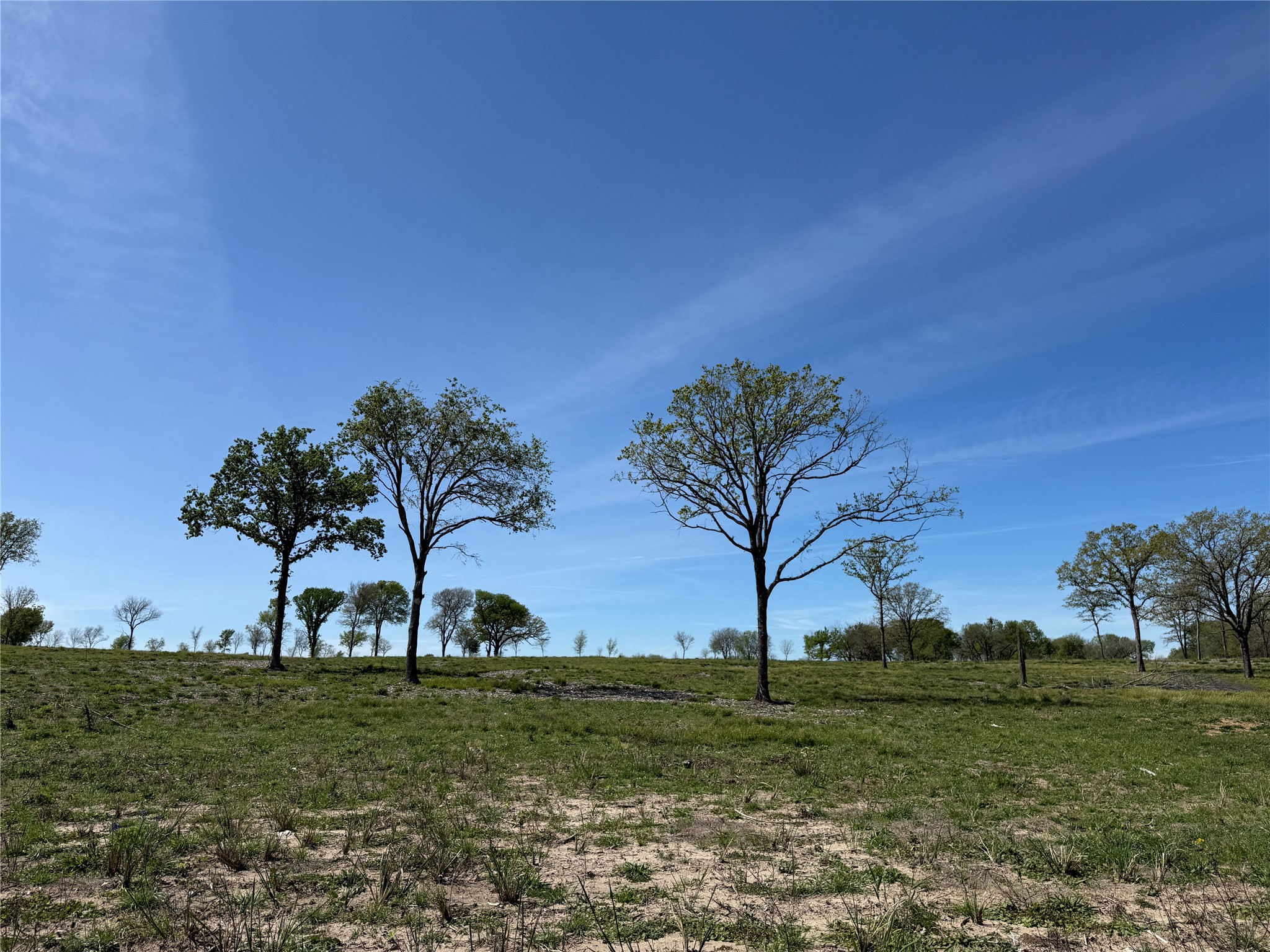 174 Serene Way, Richland, TX, 76681