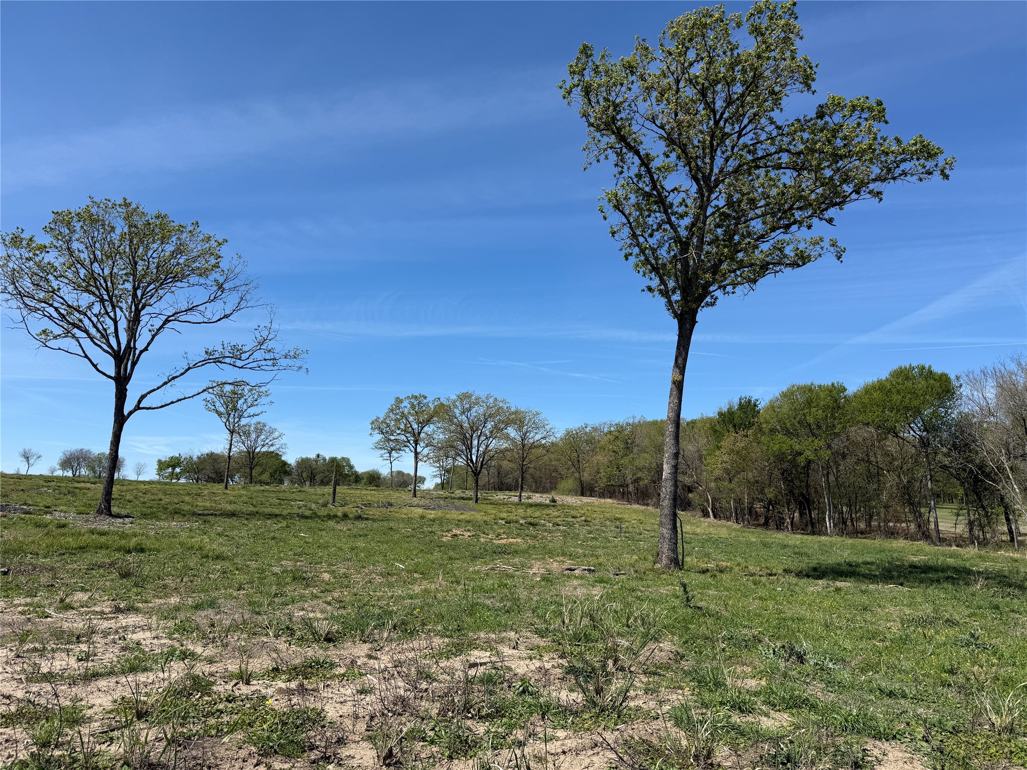 174 Serene Way, Richland, TX, 76681
