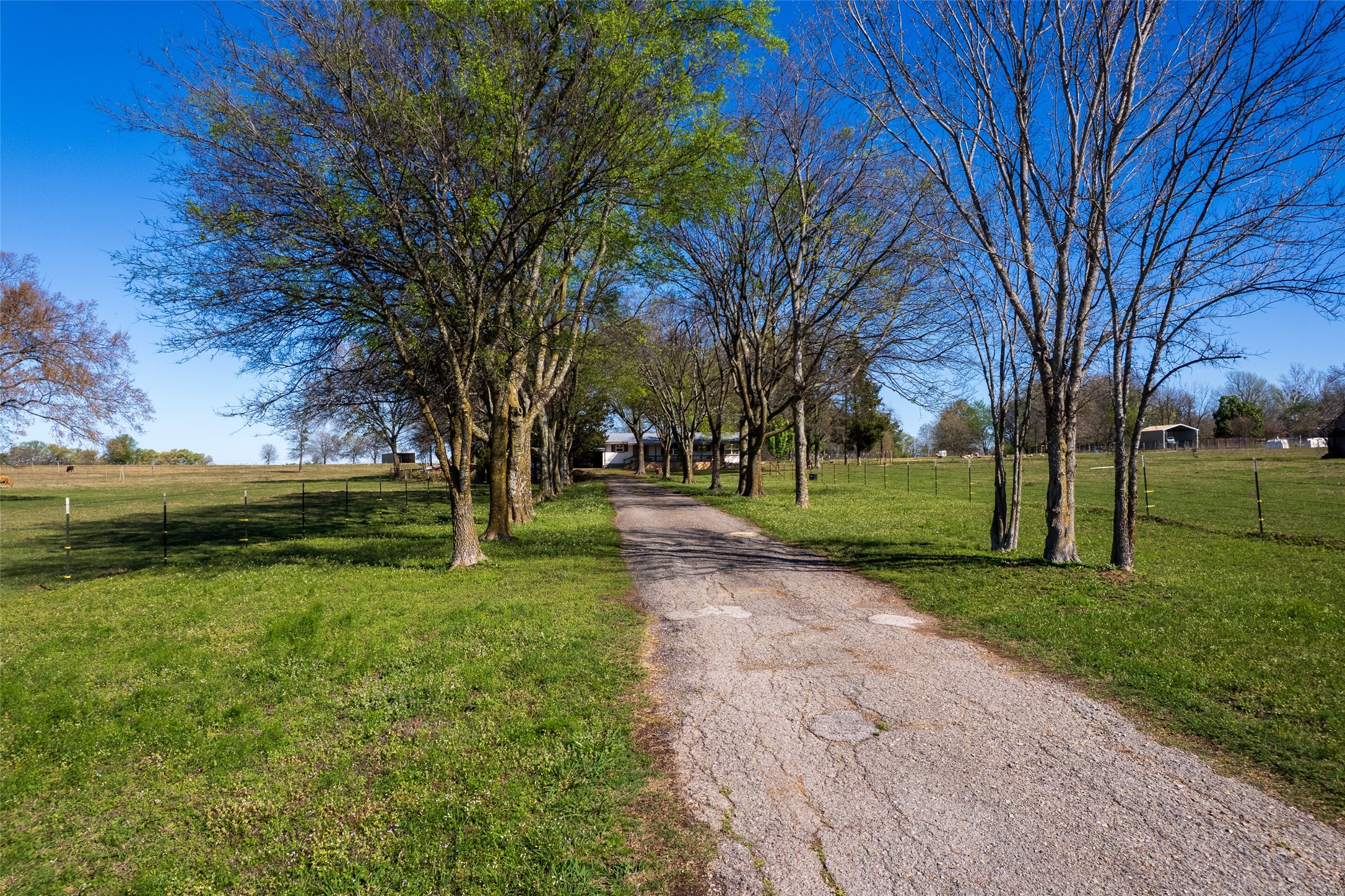 328 FM 900, Mount Vernon, TX, 75457