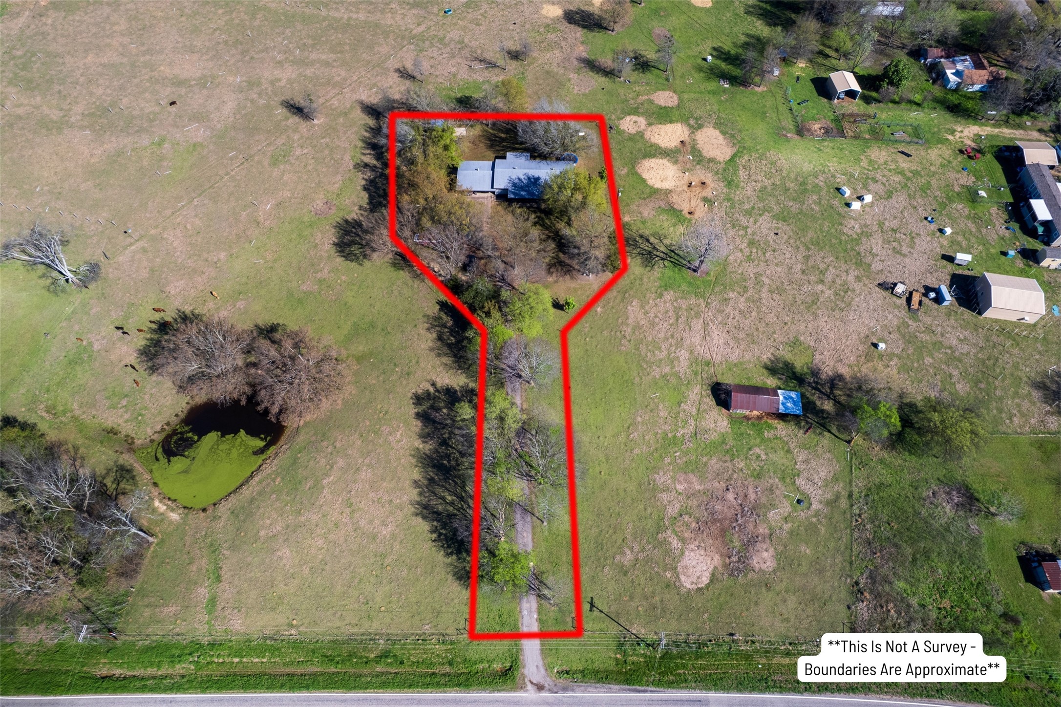 328 FM 900, Mount Vernon, TX, 75457