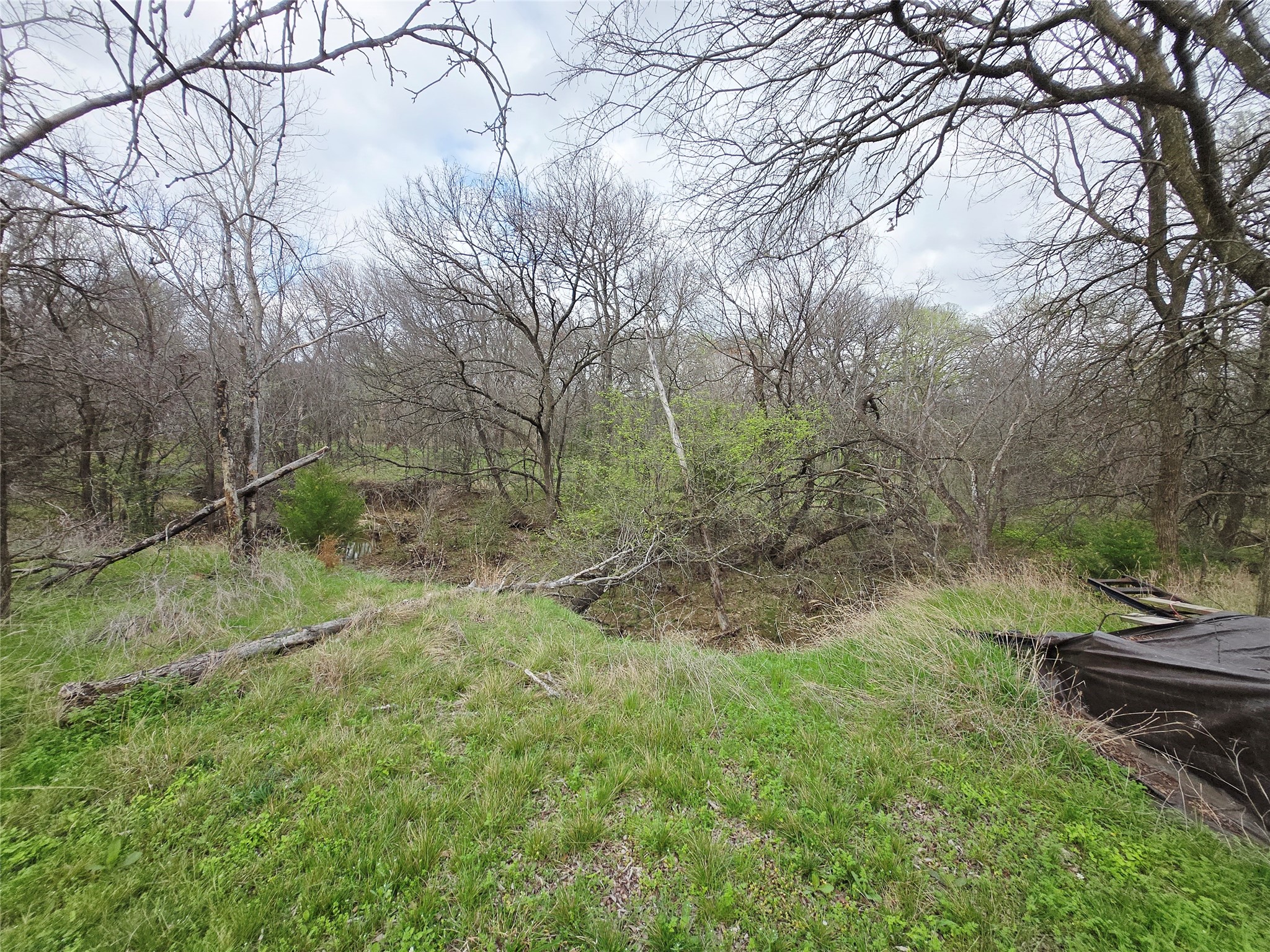 2825 Plume Court, Cedar Hill, TX, 75104