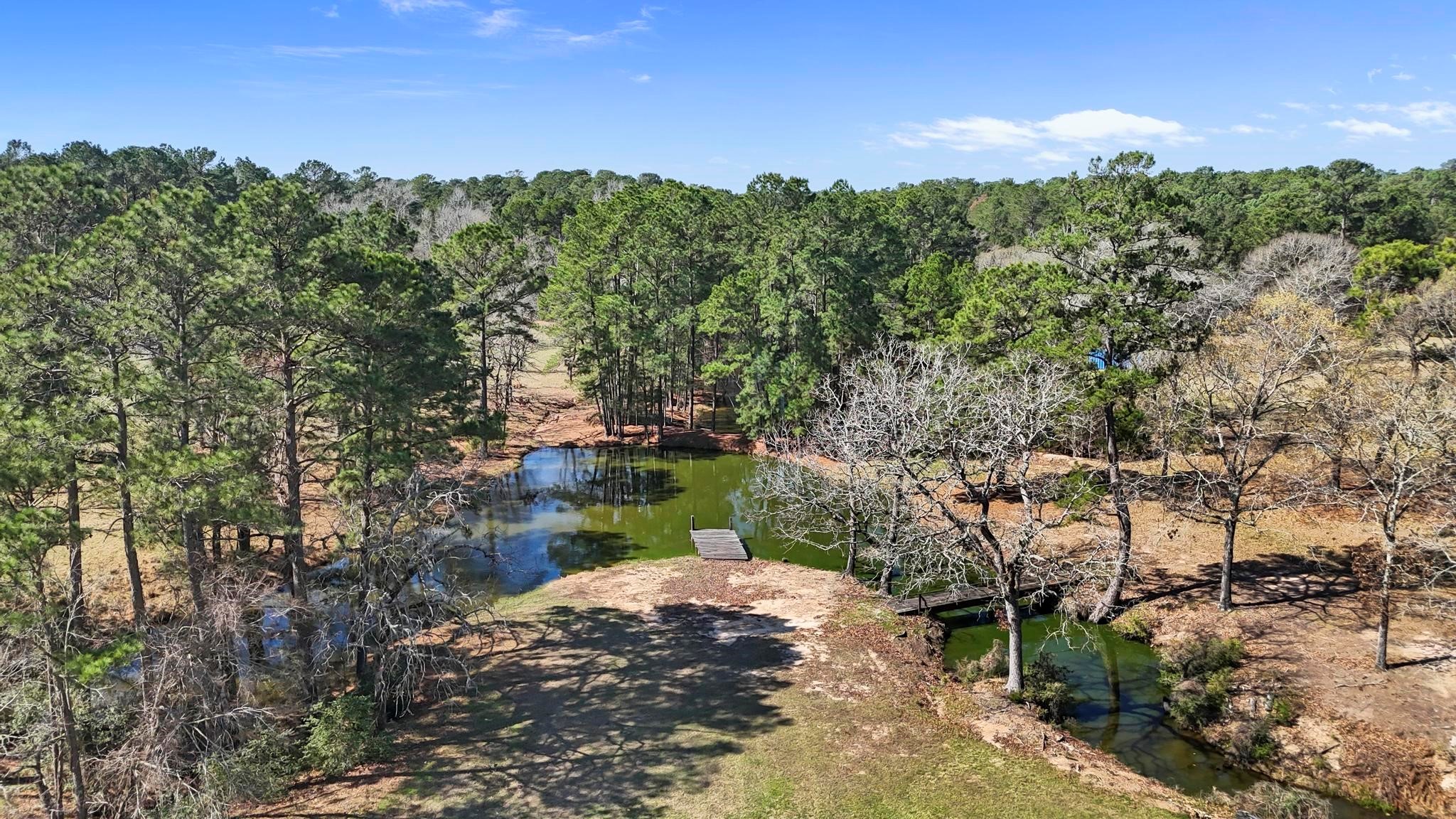 19225 Forest Service Road 219, Richards, TX, 77873