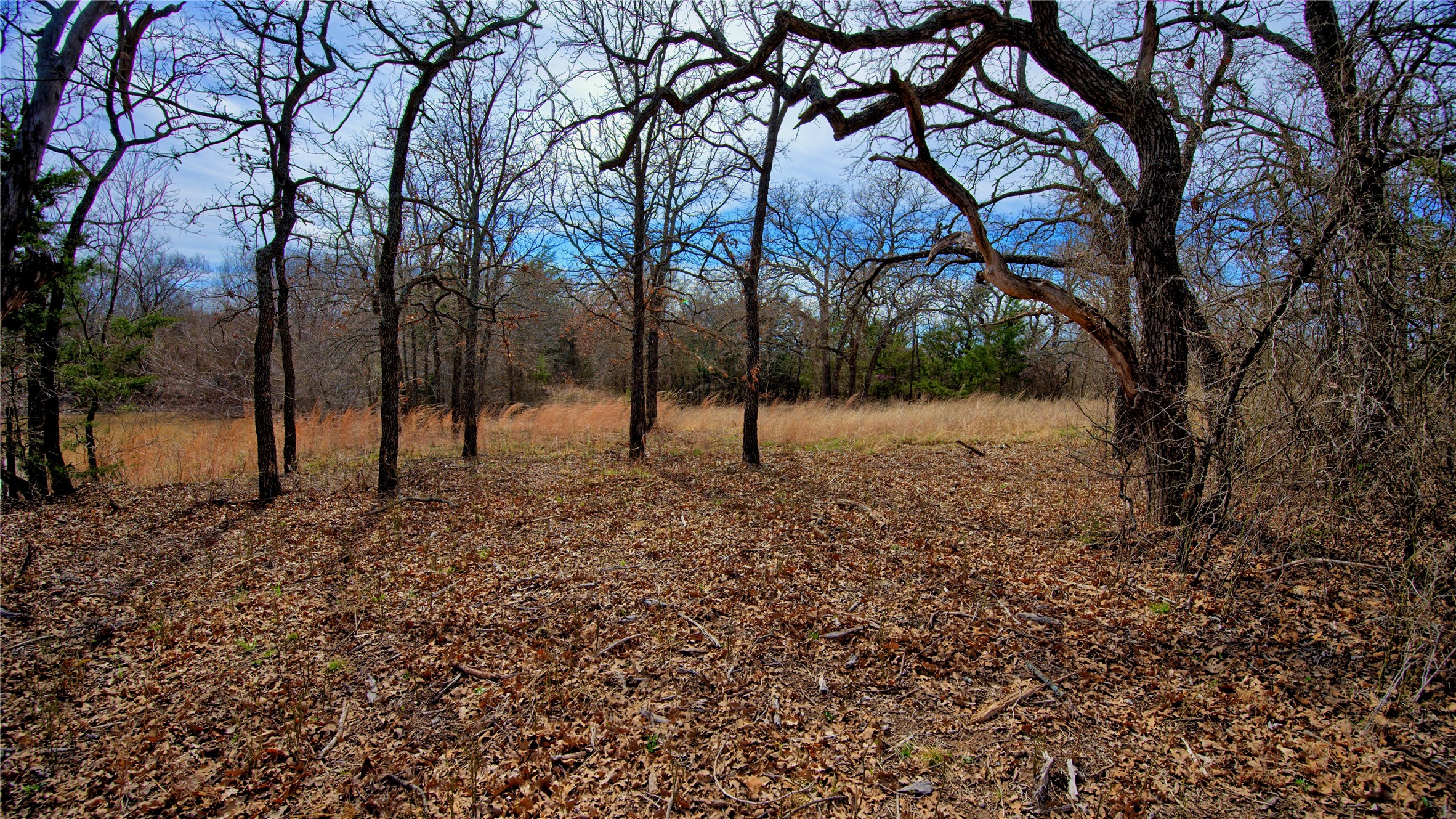 1887 Red Oak Hills Road, Nocona, TX, 76255