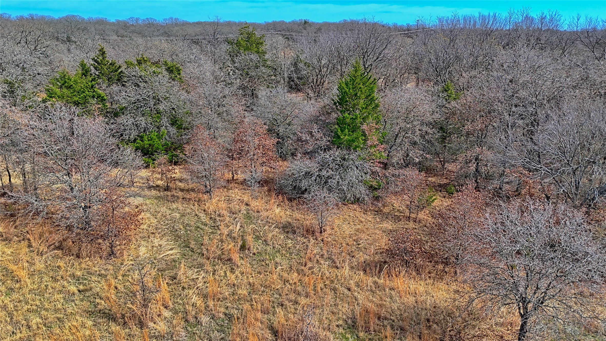1887 Red Oak Hills Road, Nocona, TX, 76255