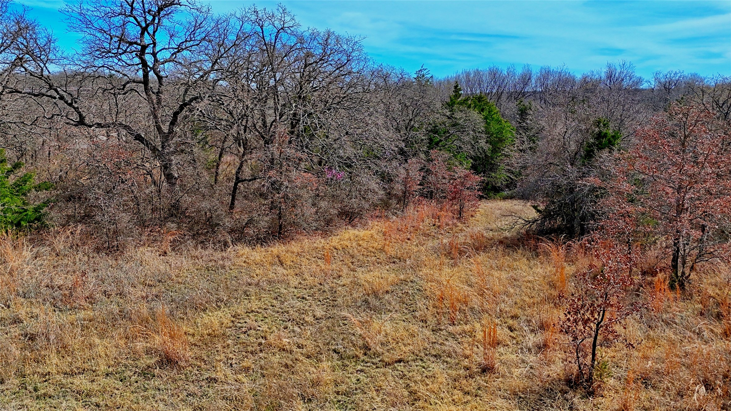1887 Red Oak Hills Road, Nocona, TX, 76255
