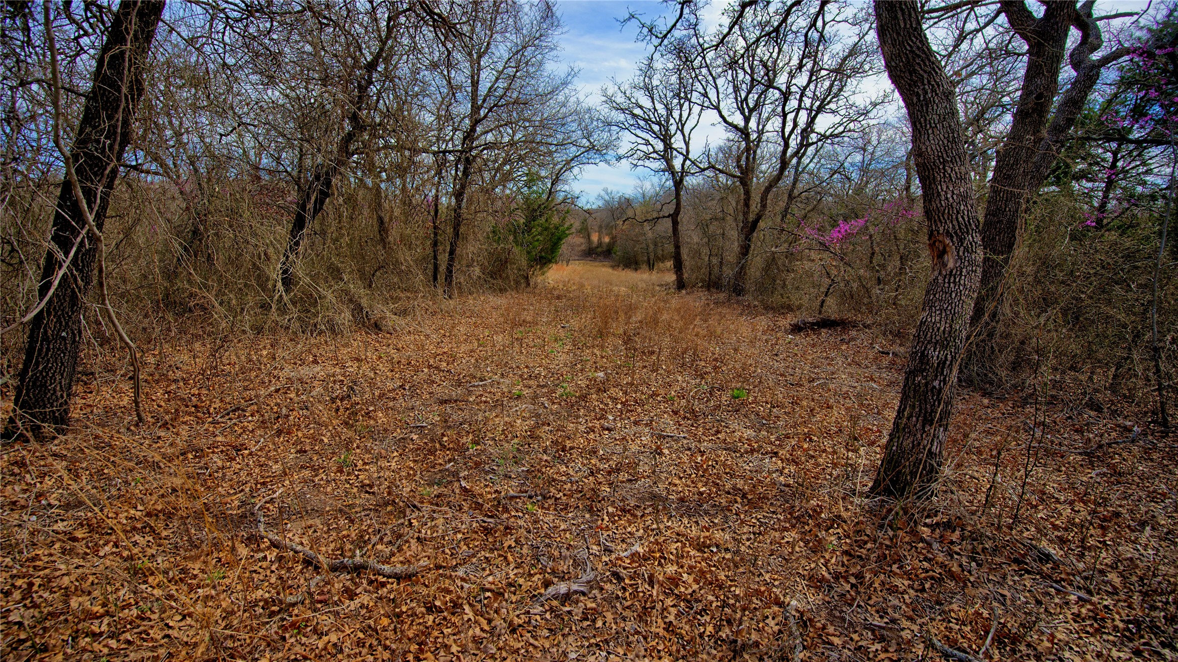 1887 Red Oak Hills Road, Nocona, TX, 76255