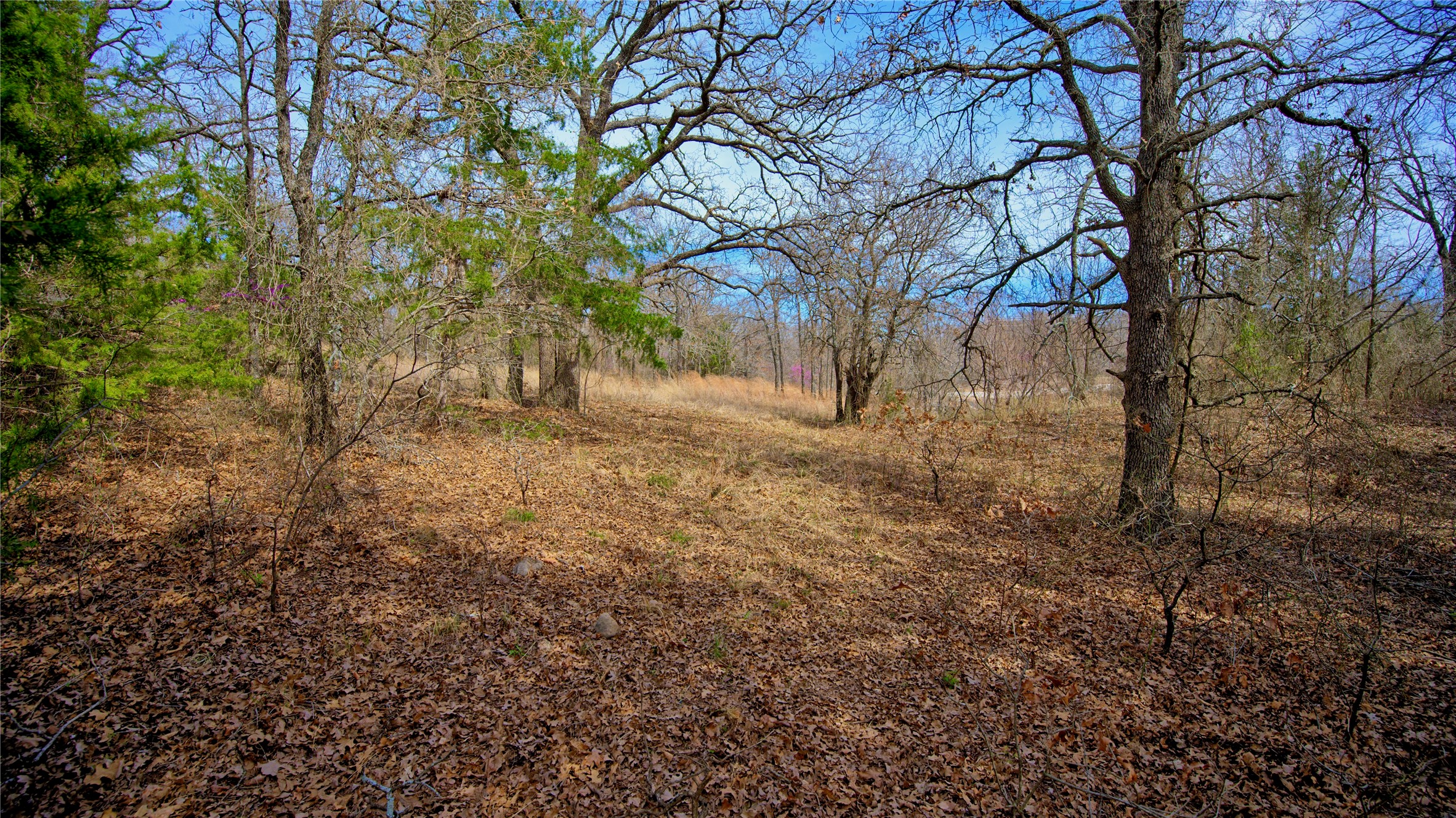 1887 Red Oak Hills Road, Nocona, TX, 76255