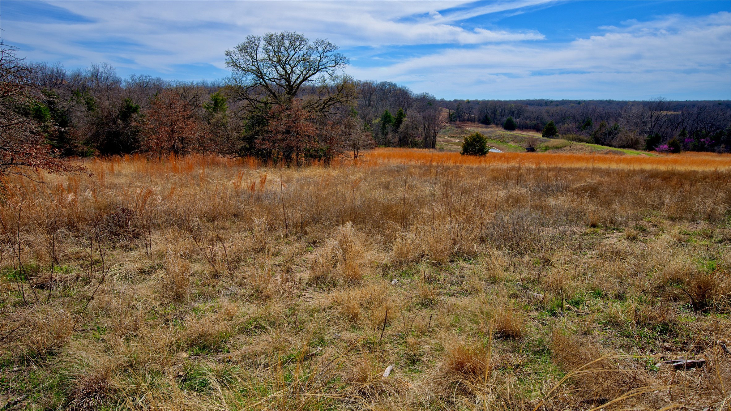 1887 Red Oak Hills Road, Nocona, TX, 76255
