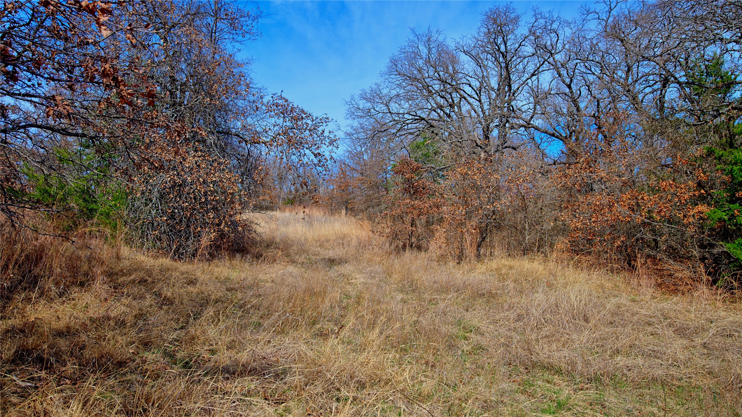 1887 Red Oak Hills Road, Nocona, TX, 76255