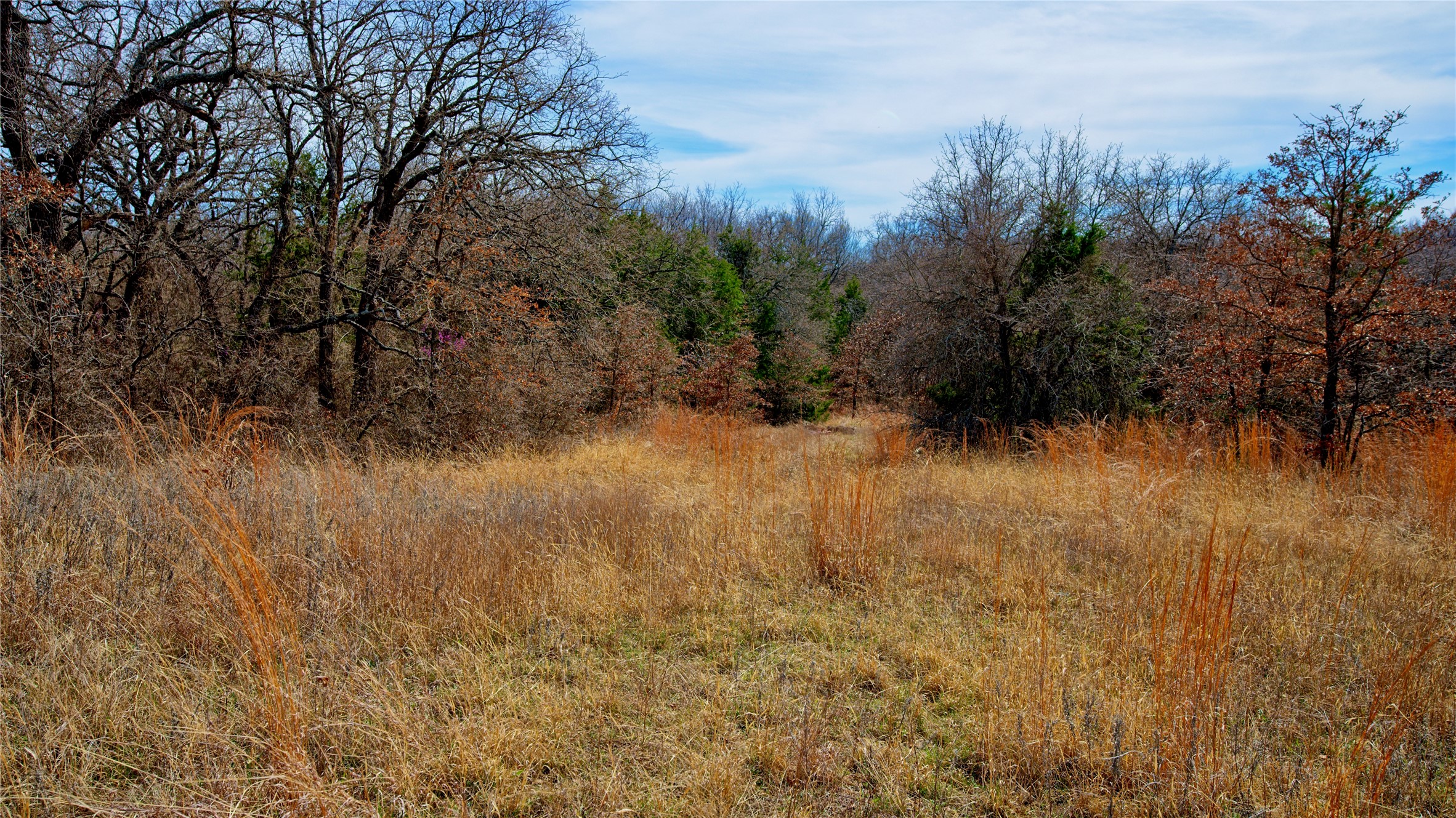 1887 Red Oak Hills Road, Nocona, TX, 76255