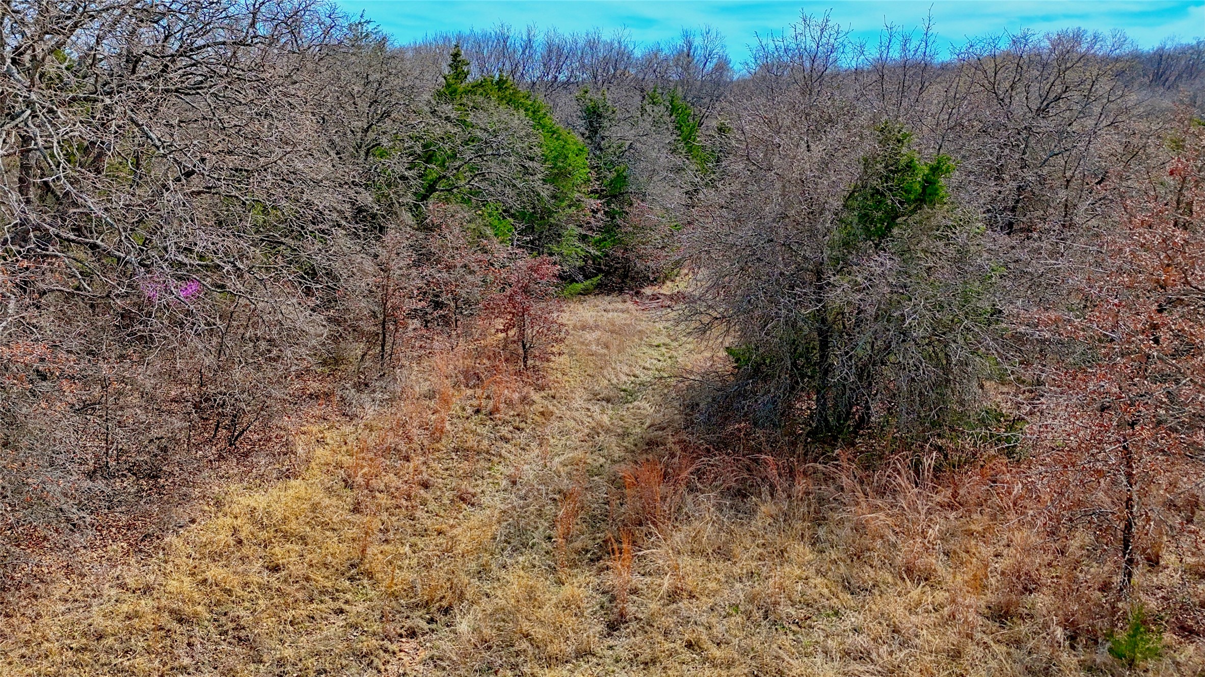 1887 Red Oak Hills Road, Nocona, TX, 76255