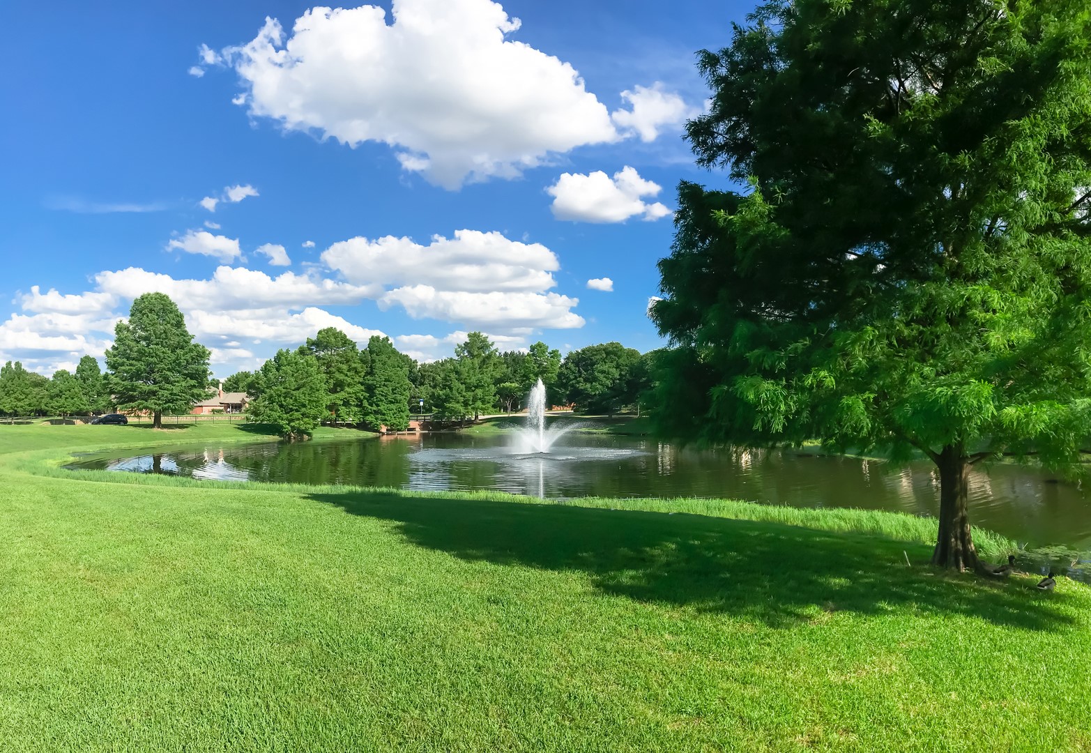 225 Ravenna Boulevard, Justin, TX, 76247