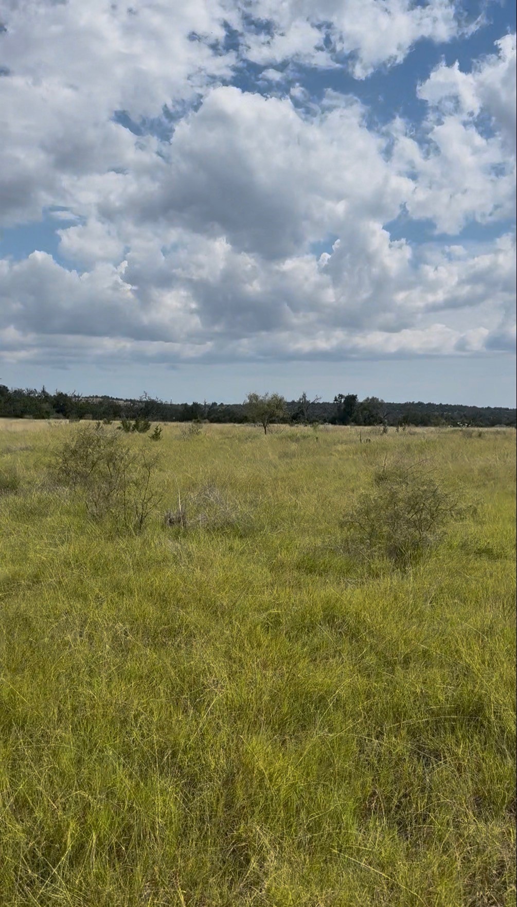 7523 N Grape Rd, Fredericksburg, TX, 78624