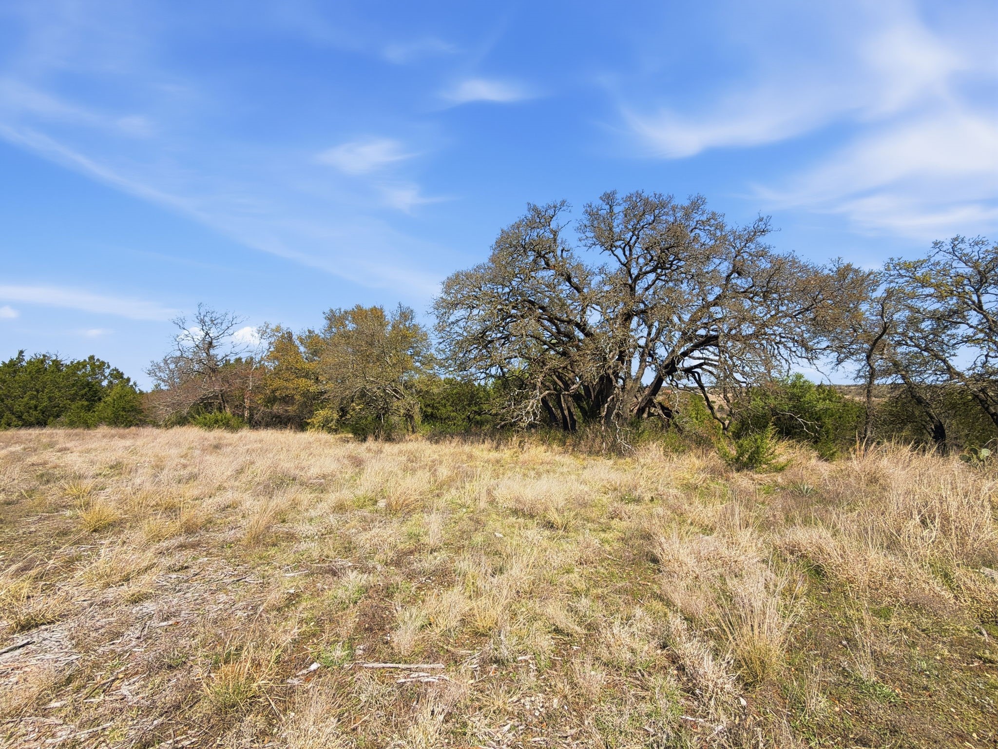 TBD PR 2901 UNIT&nbsp;19, Hamilton, TX, 76531