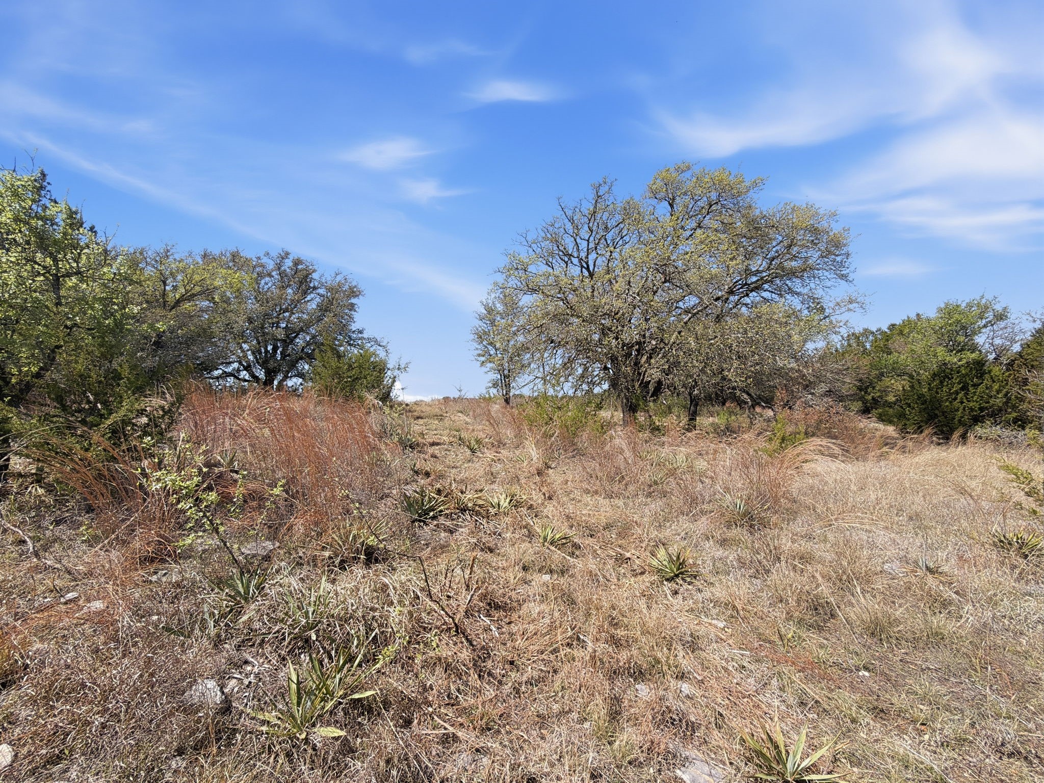 TBD PR 2901 UNIT&nbsp;19, Hamilton, TX, 76531