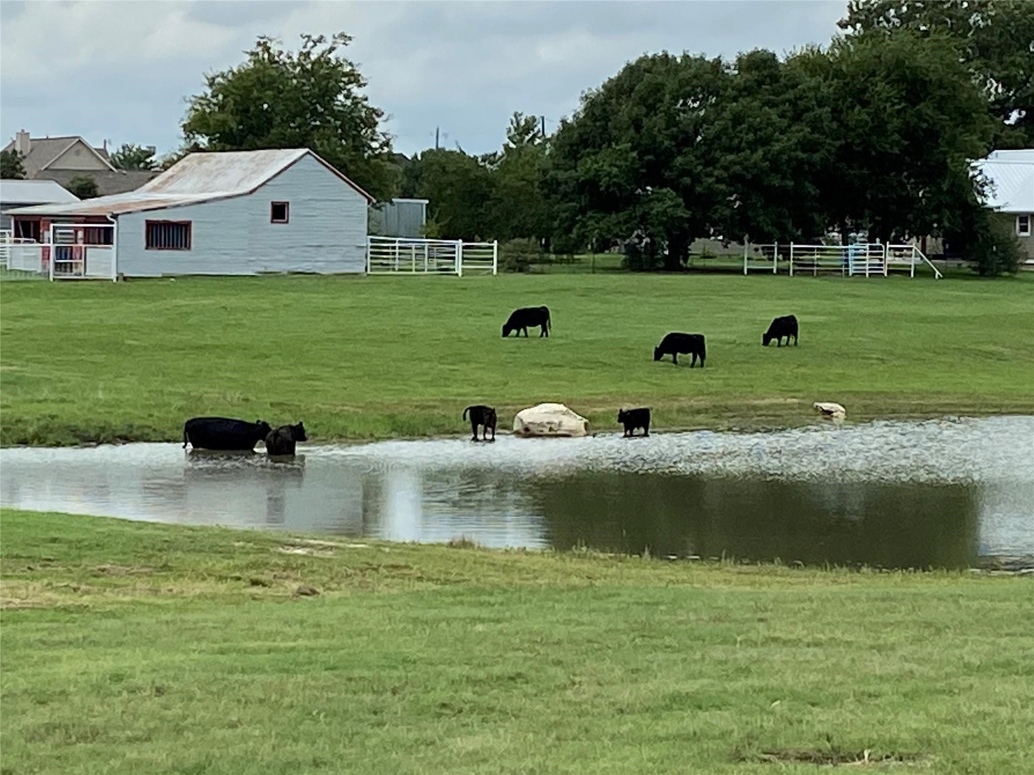 2196 Bledsoe Road, Gunter, TX, 75058