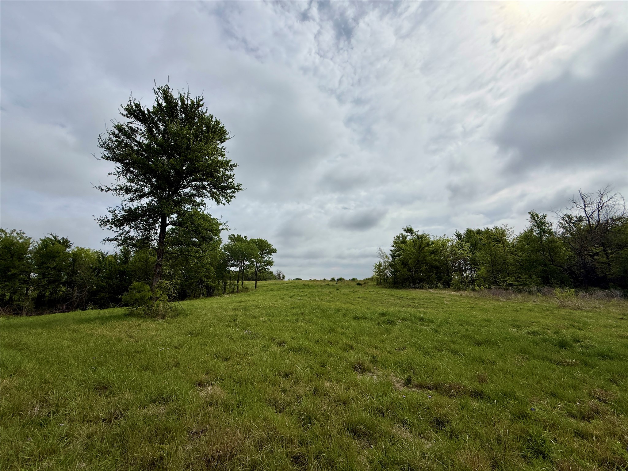 Lot 63 Sunset Court, Corsicana, TX, 75109