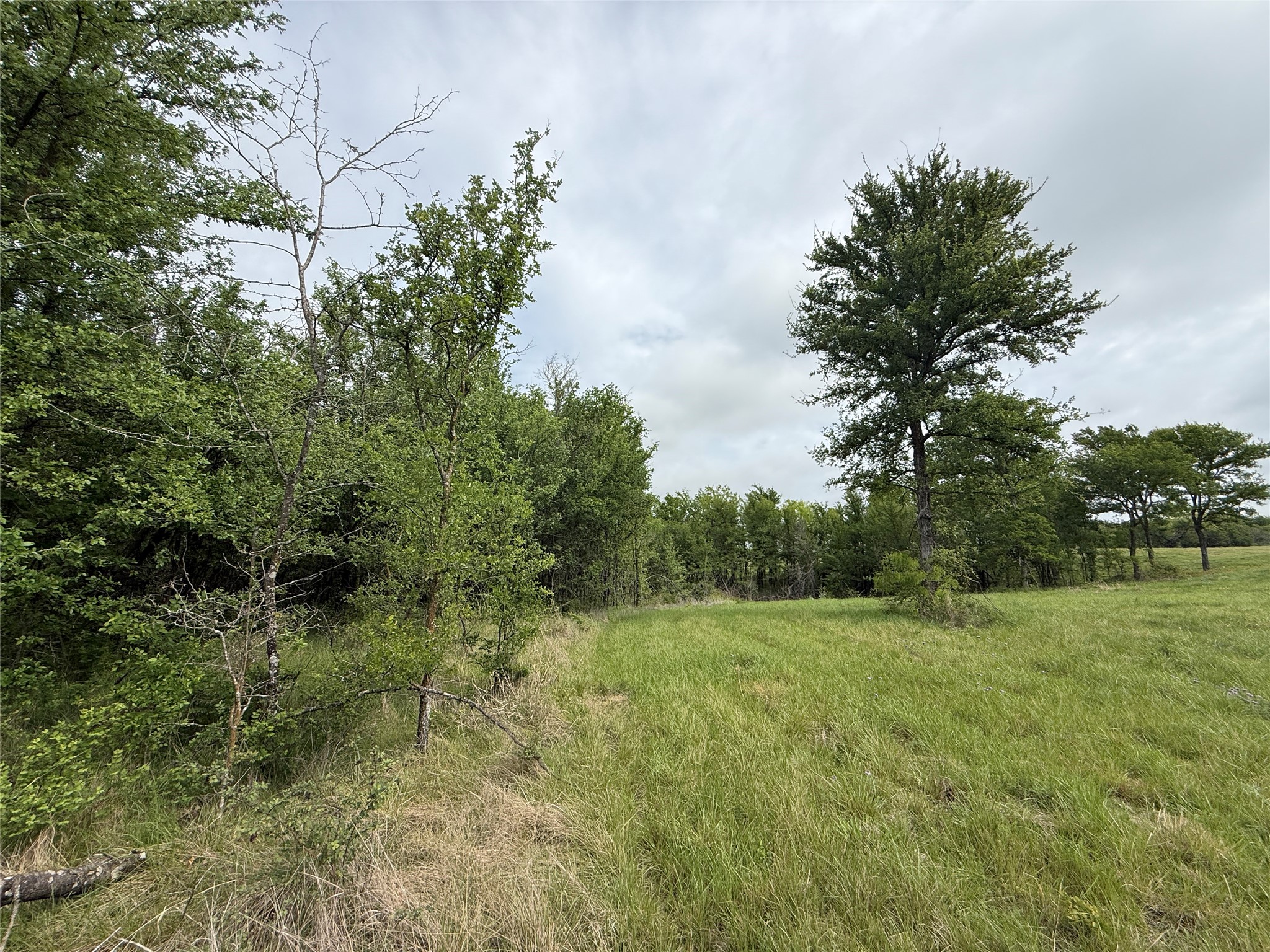 Lot 63 Sunset Court, Corsicana, TX, 75109