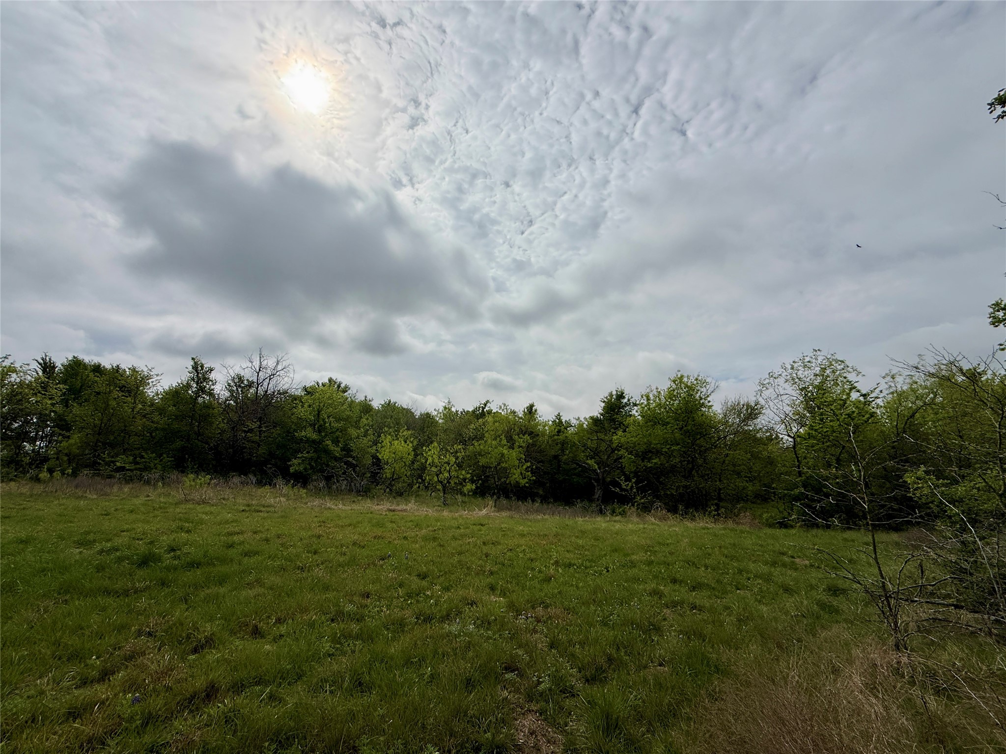 Lot 63 Sunset Court, Corsicana, TX, 75109