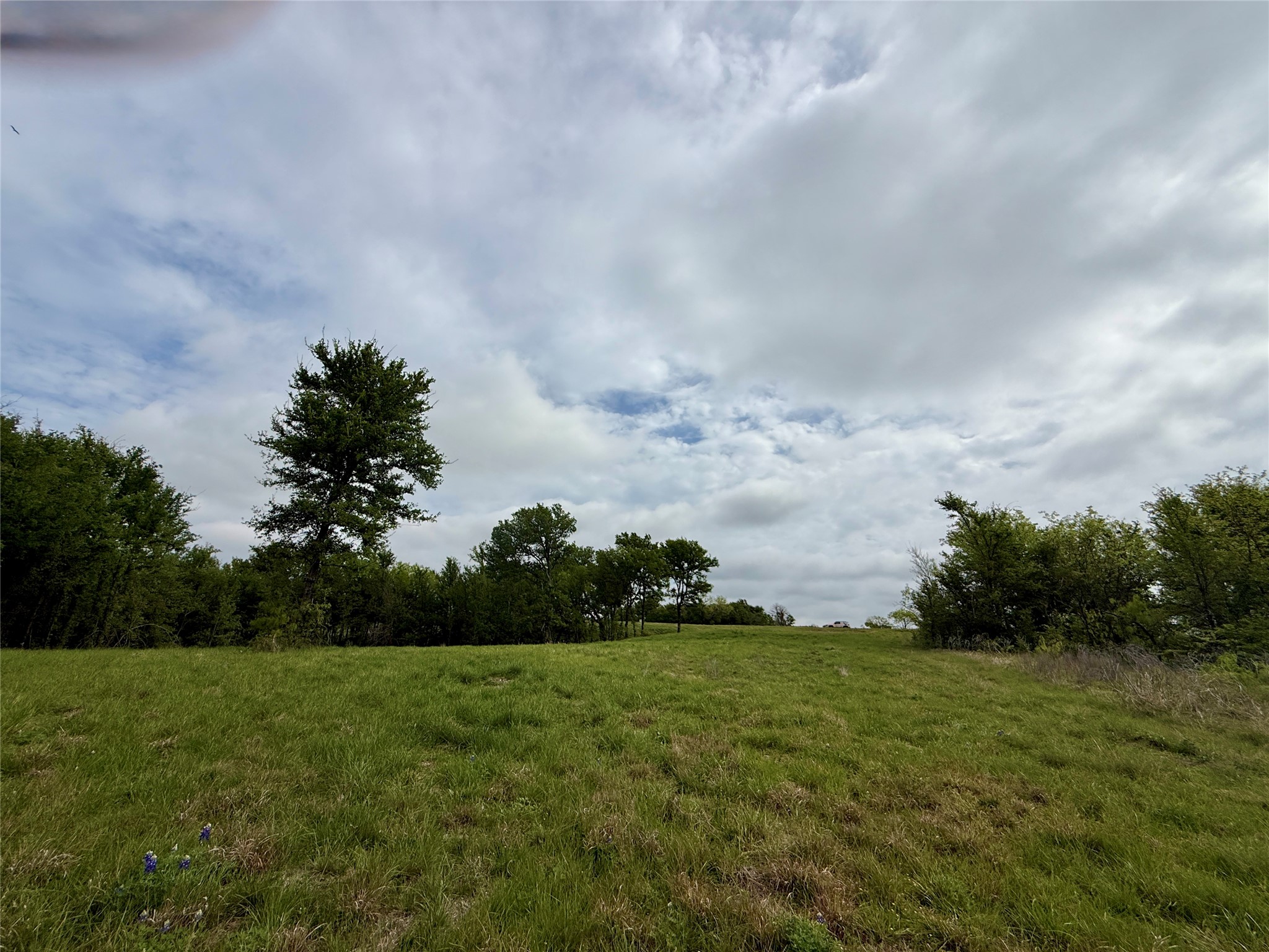 Lot 63 Sunset Court, Corsicana, TX, 75109