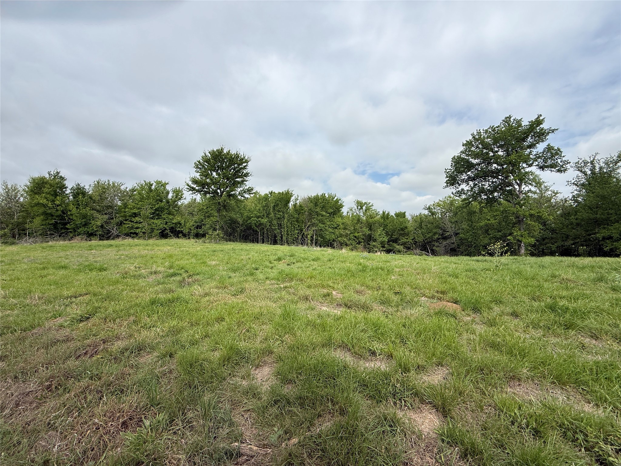 Lot 63 Sunset Court, Corsicana, TX, 75109