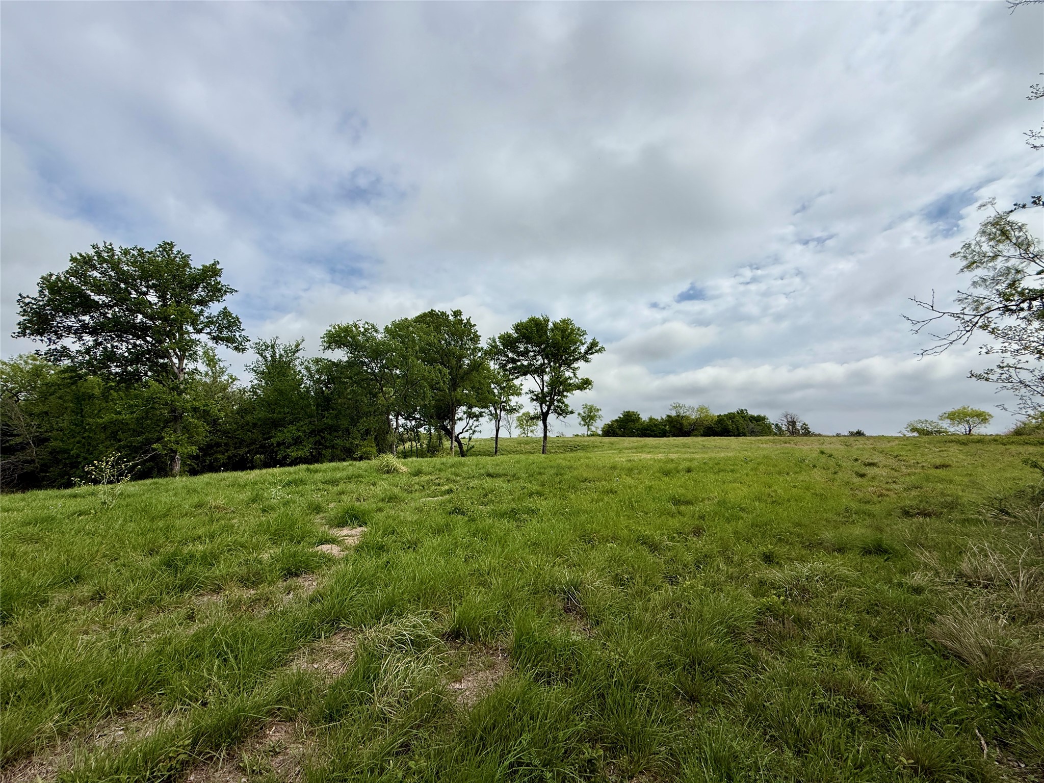 Lot 63 Sunset Court, Corsicana, TX, 75109