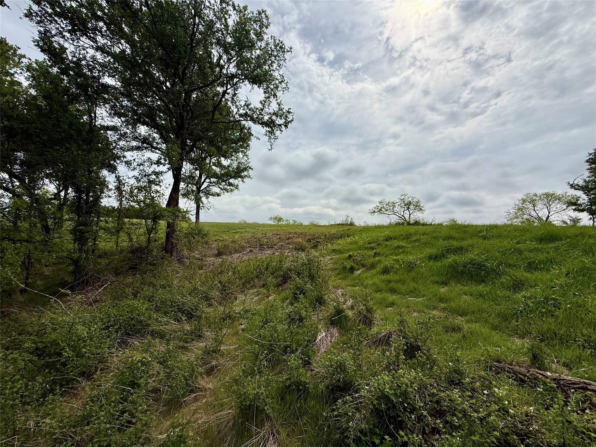 Lot 63 Sunset Court, Corsicana, TX, 75109