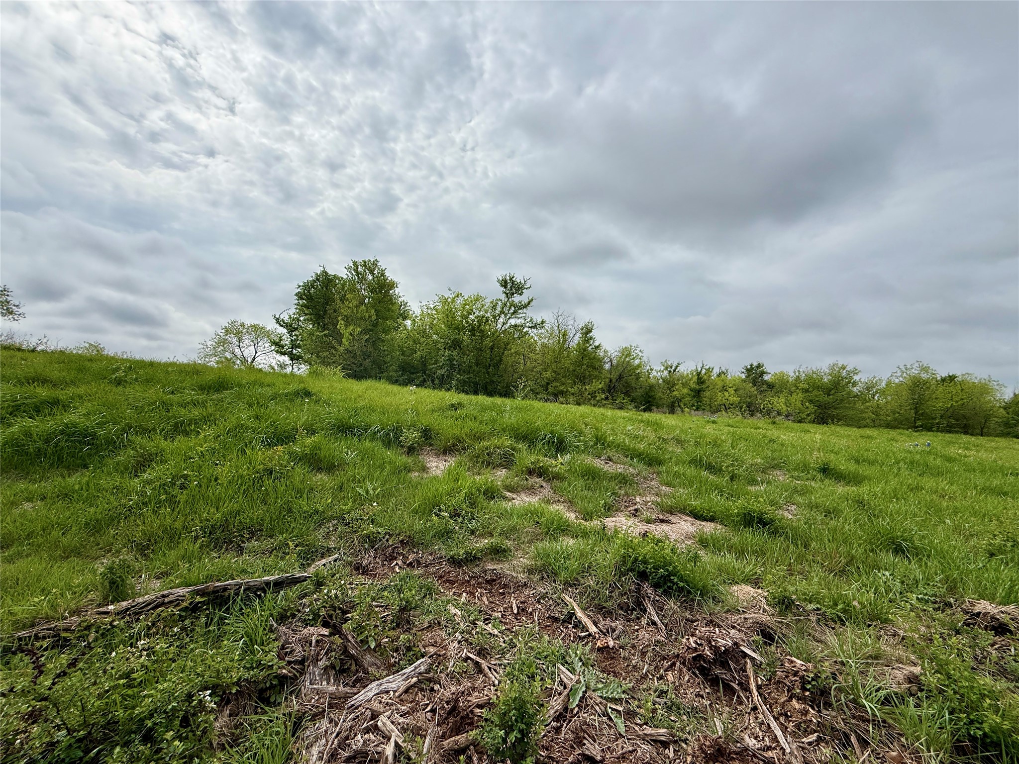 Lot 63 Sunset Court, Corsicana, TX, 75109