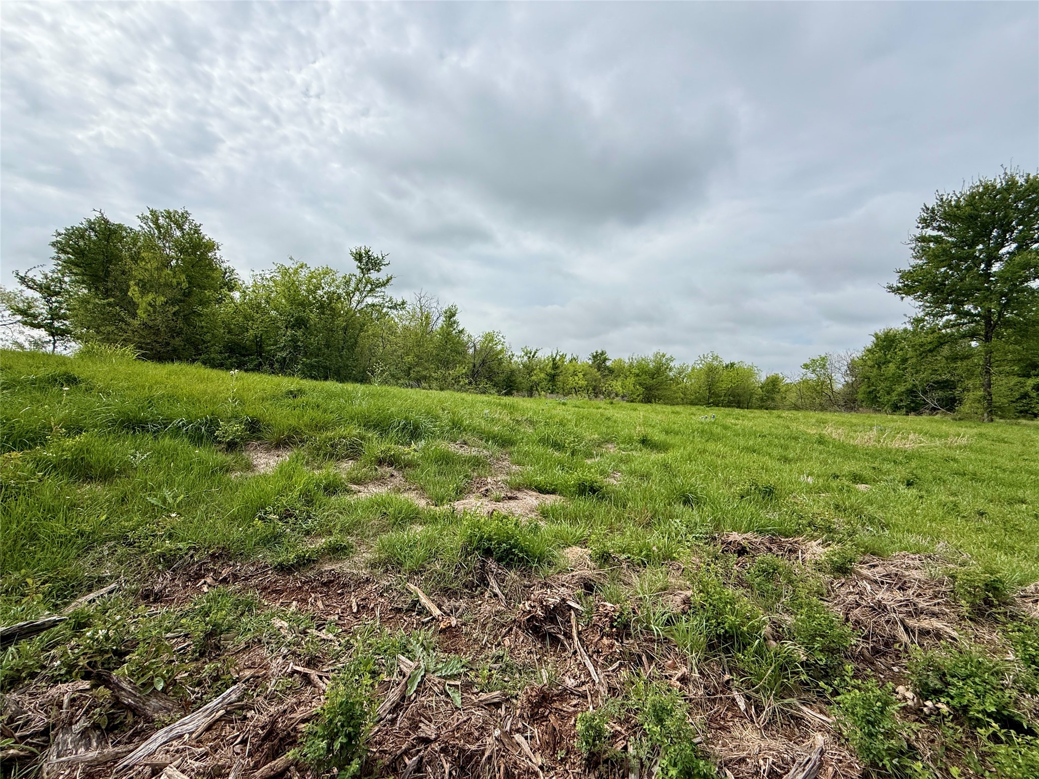 Lot 63 Sunset Court, Corsicana, TX, 75109