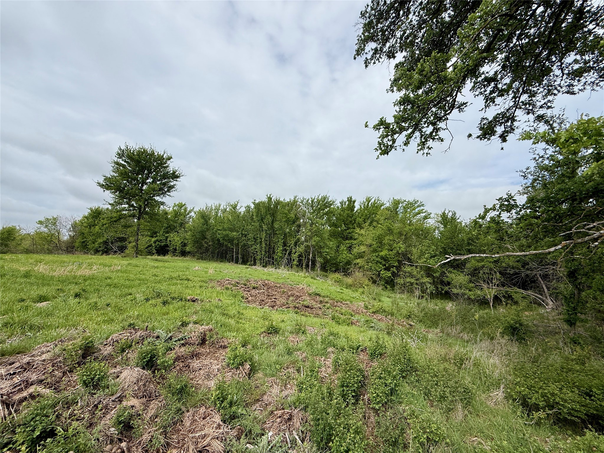 Lot 63 Sunset Court, Corsicana, TX, 75109