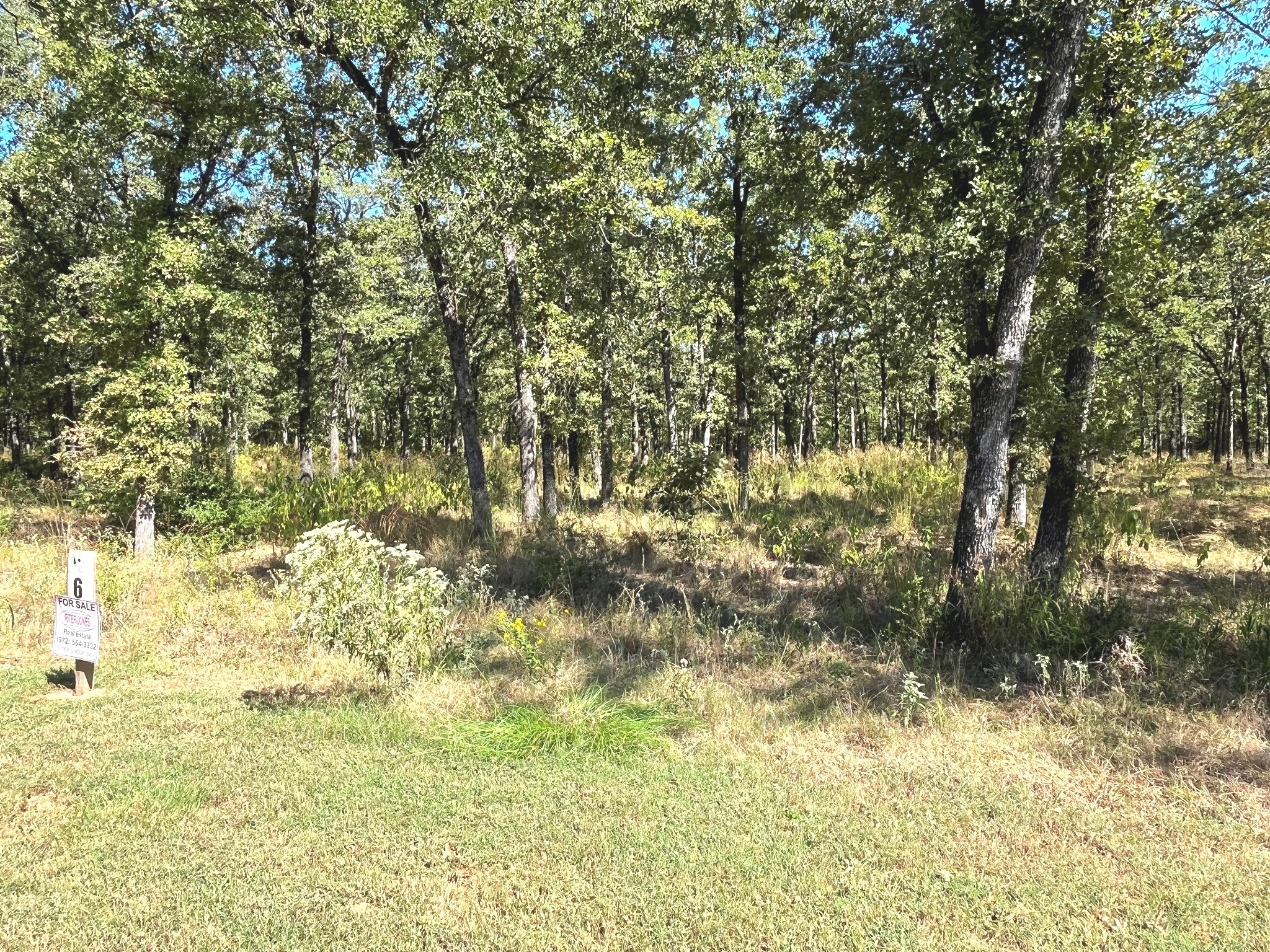 6924 Lakeshore Way, Log Cabin, TX, 75148