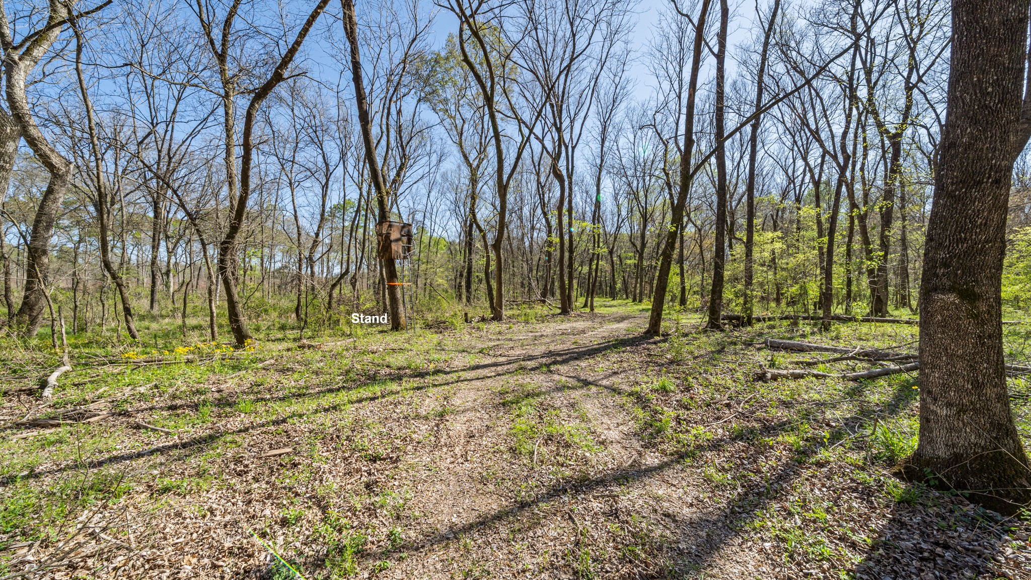 TBD County Road 462, Mineola, TX, 75773
